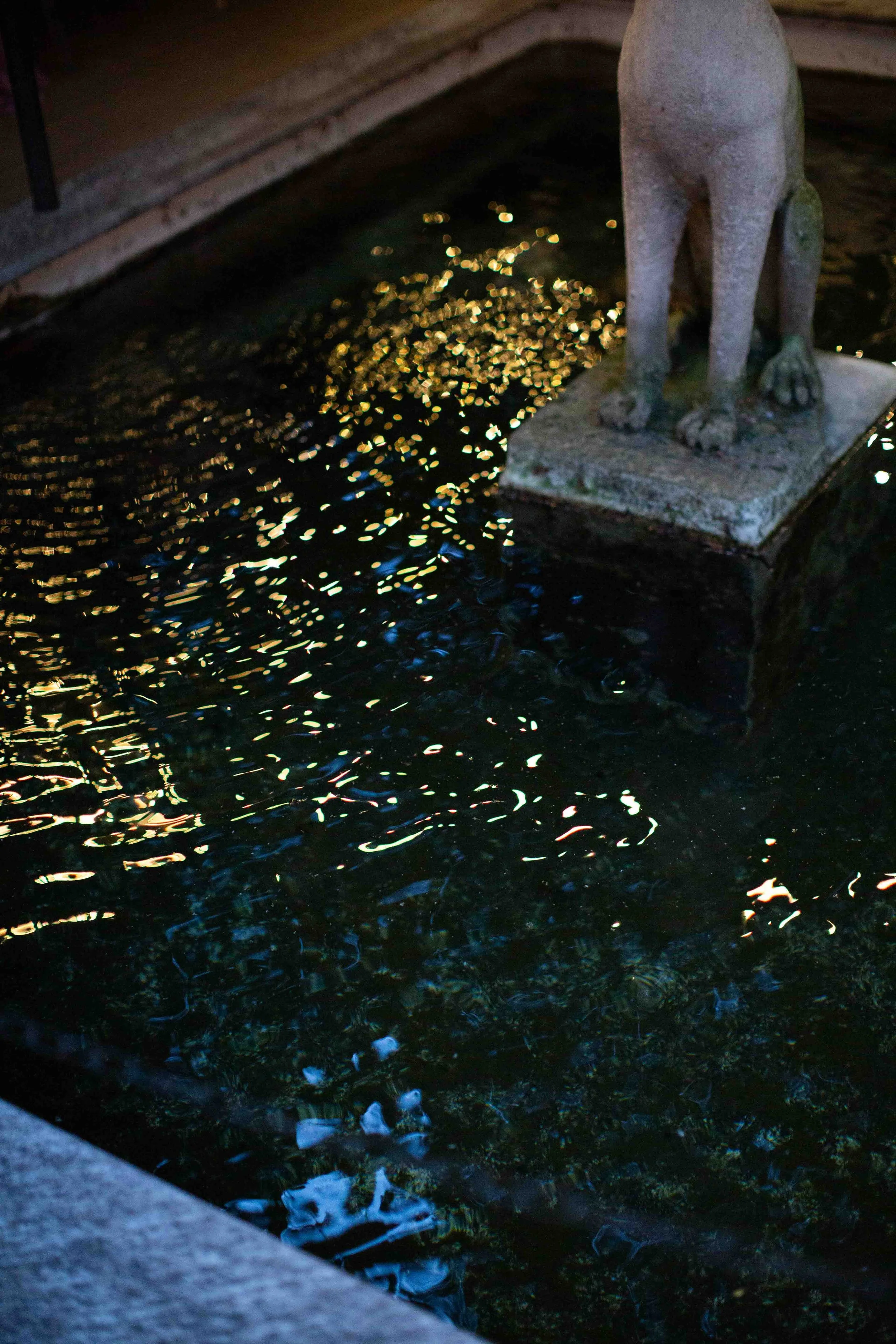 MUSICANTI MILANO-52.jpg