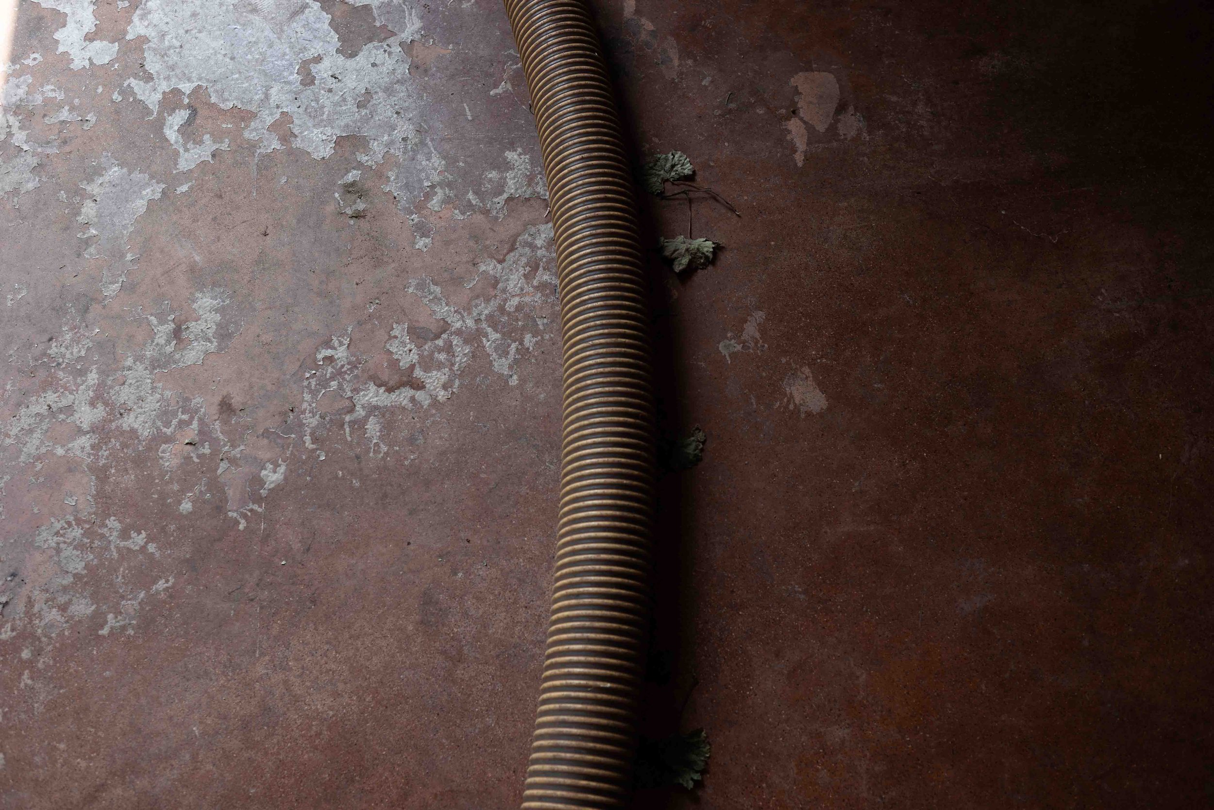 Un pezzo di pavimento della cantina di Cantrina