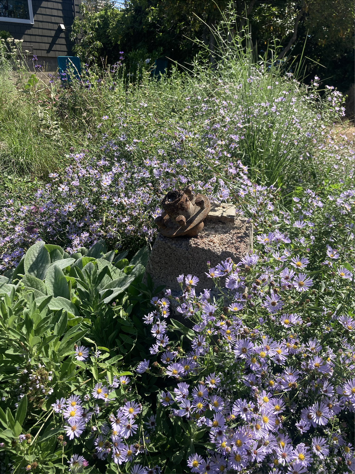 The Painter's Garden