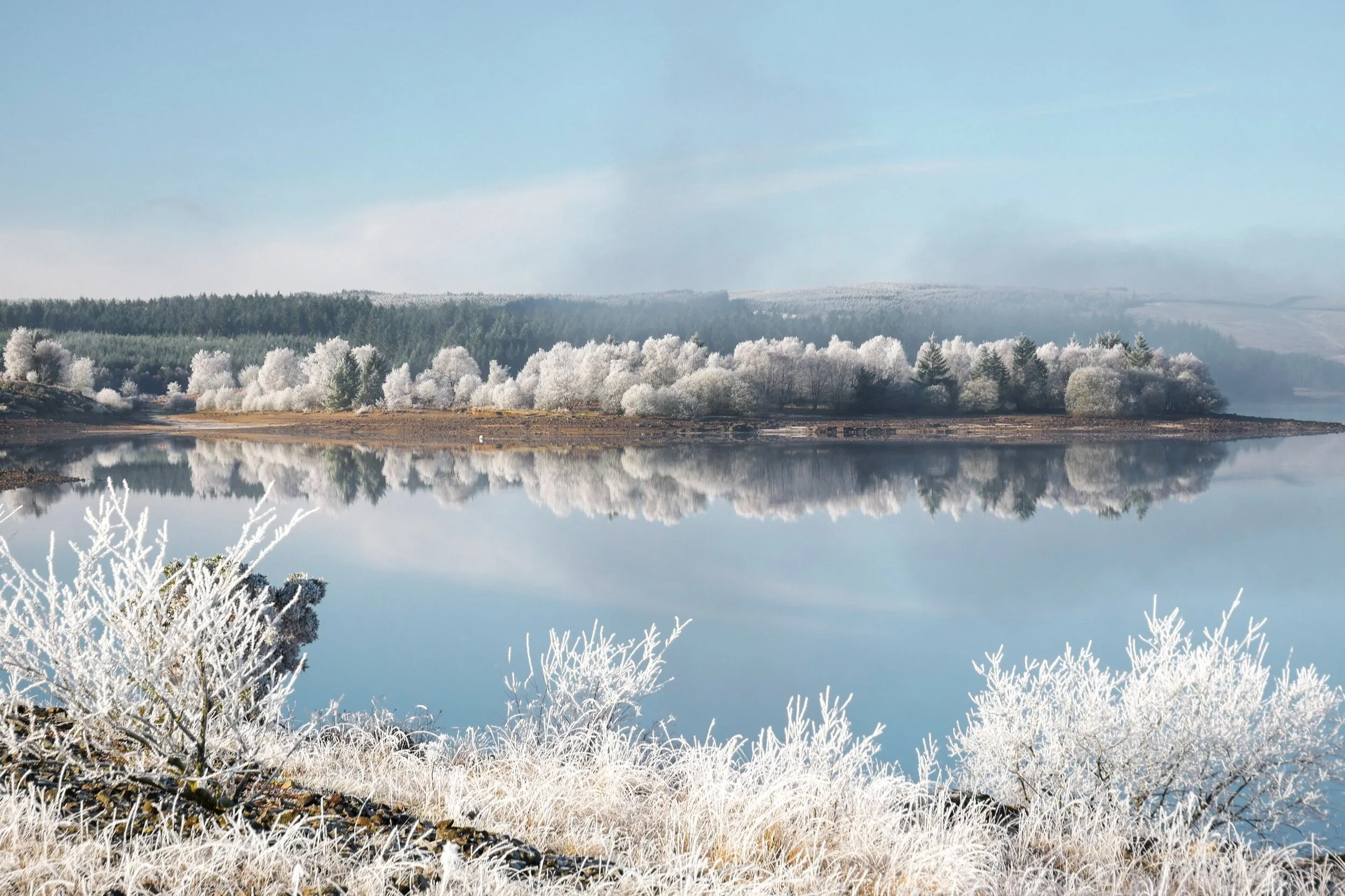 Kielder Forest Through the Seasons Winter โ This Is Northumberland