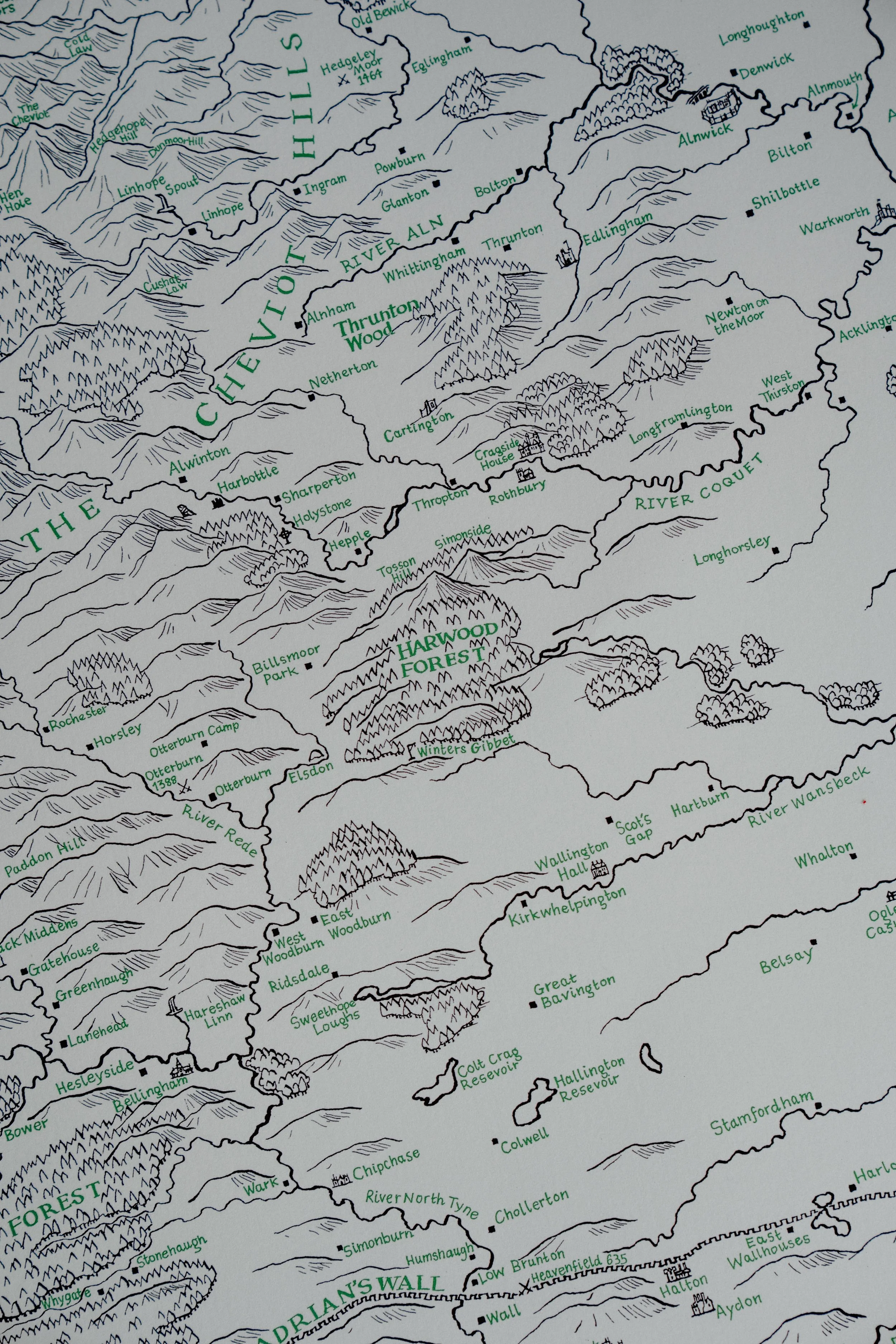 CAL03370.jpg