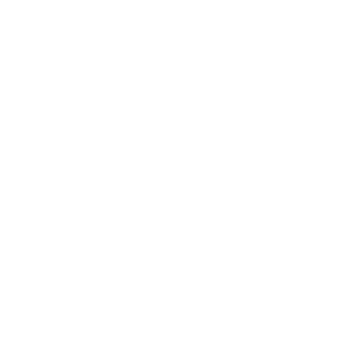 MYSTRYDE TRAIN