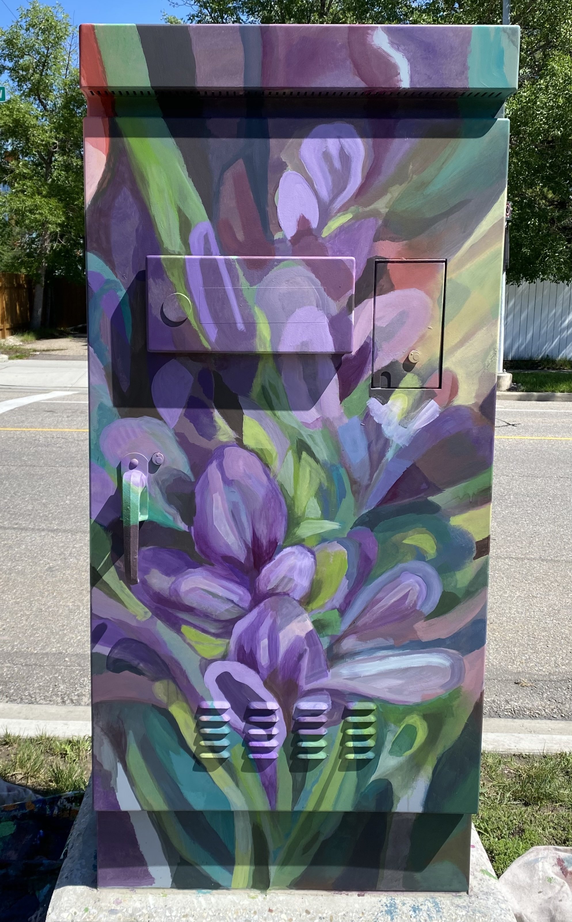 West Hillhurst Utility Box Purple Milkvetch