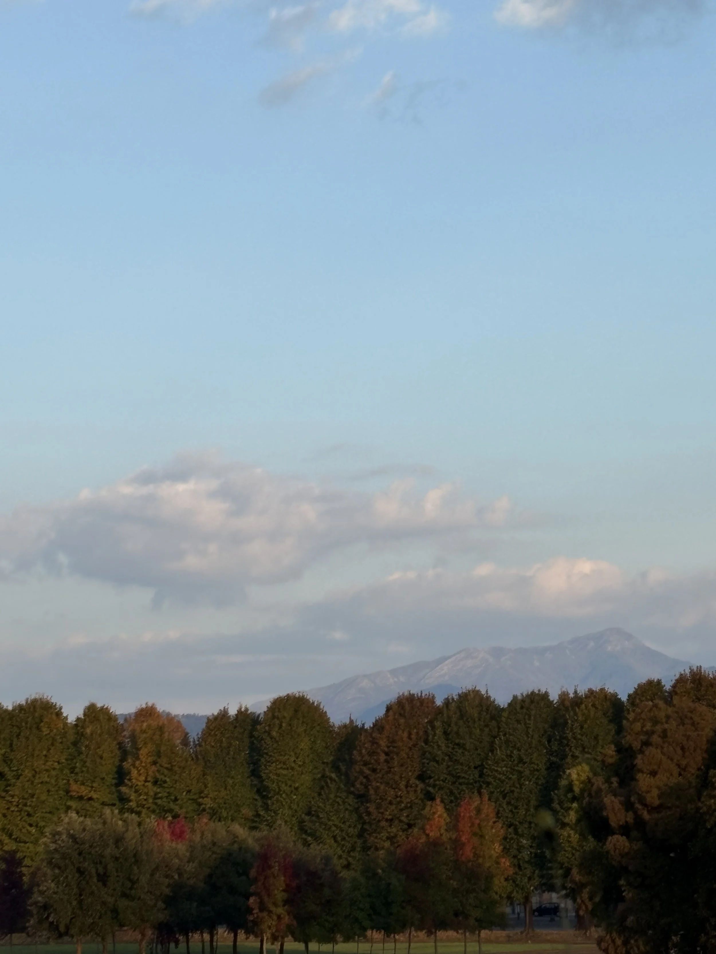 Autumn colours in Lucca Tuscany.jpeg