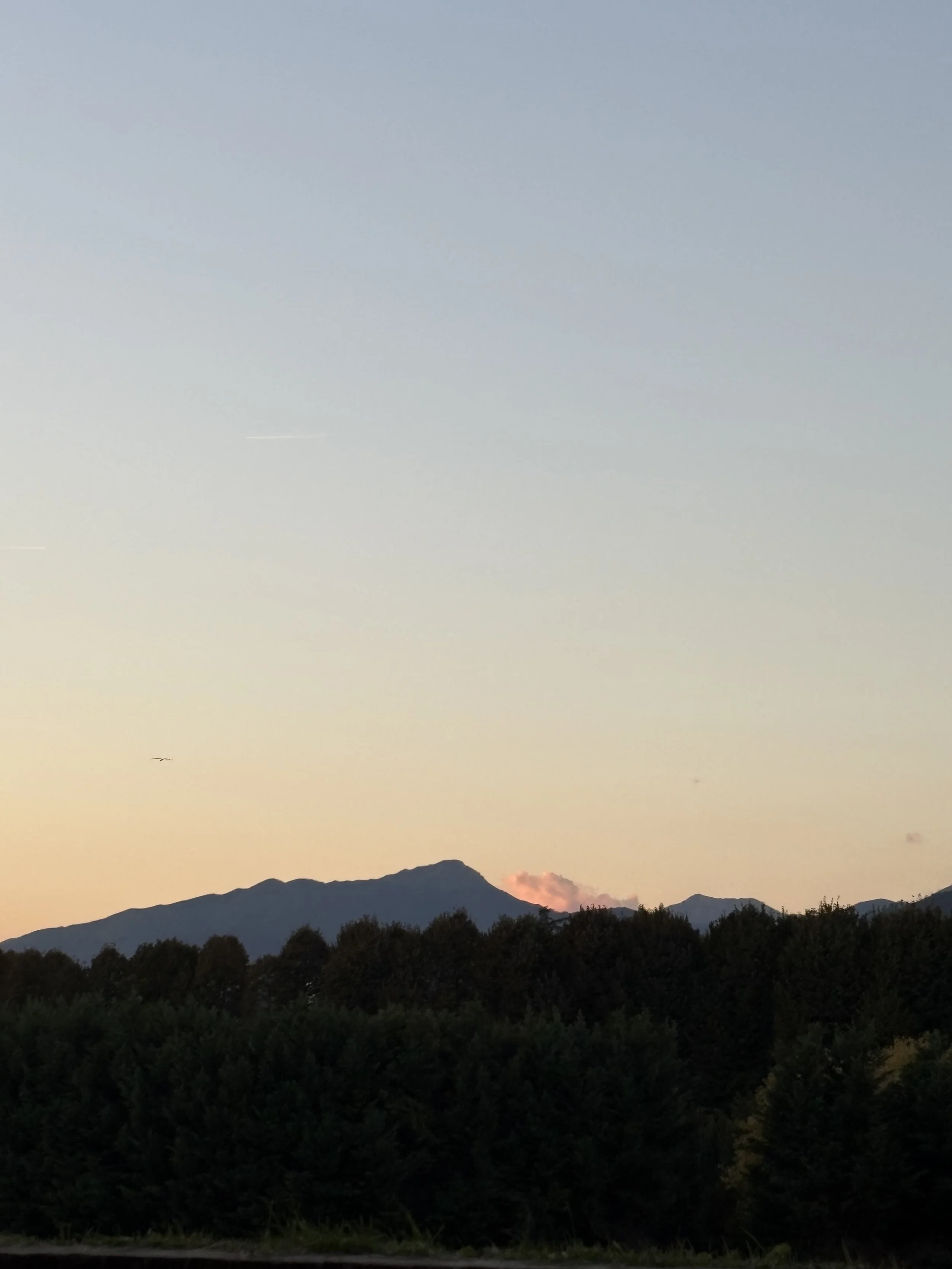 Tuscan sunrise in Lucca.jpeg