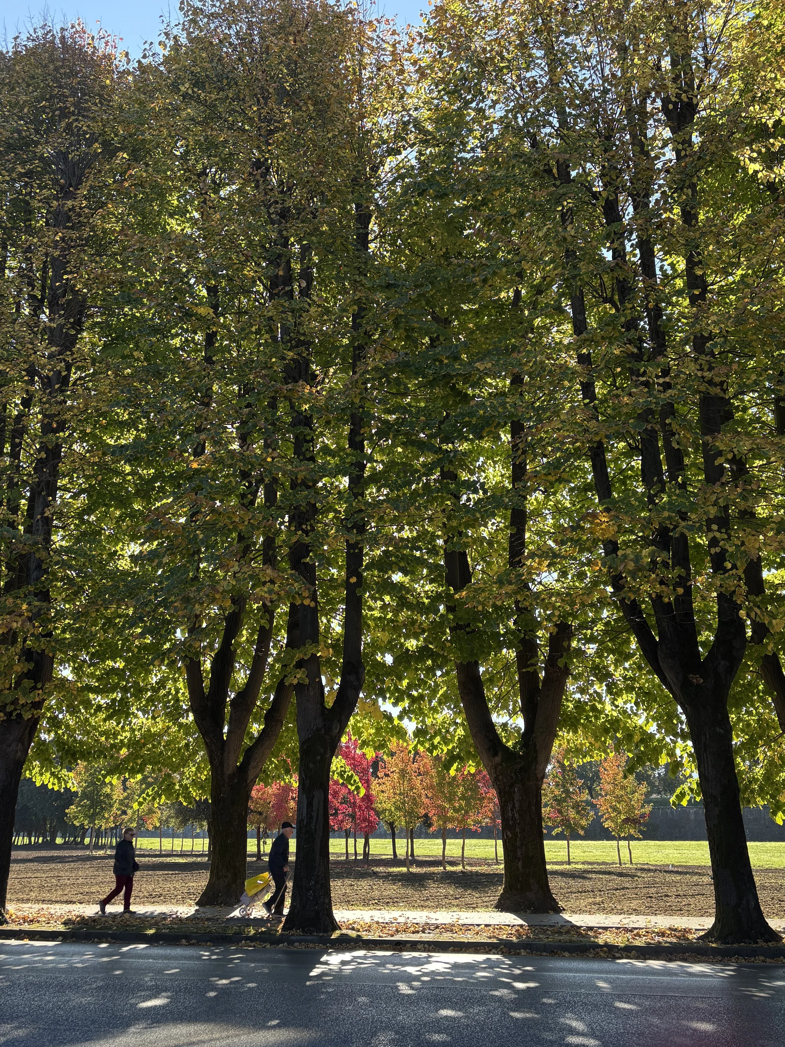 Beautiful October day in Lucca.jpeg