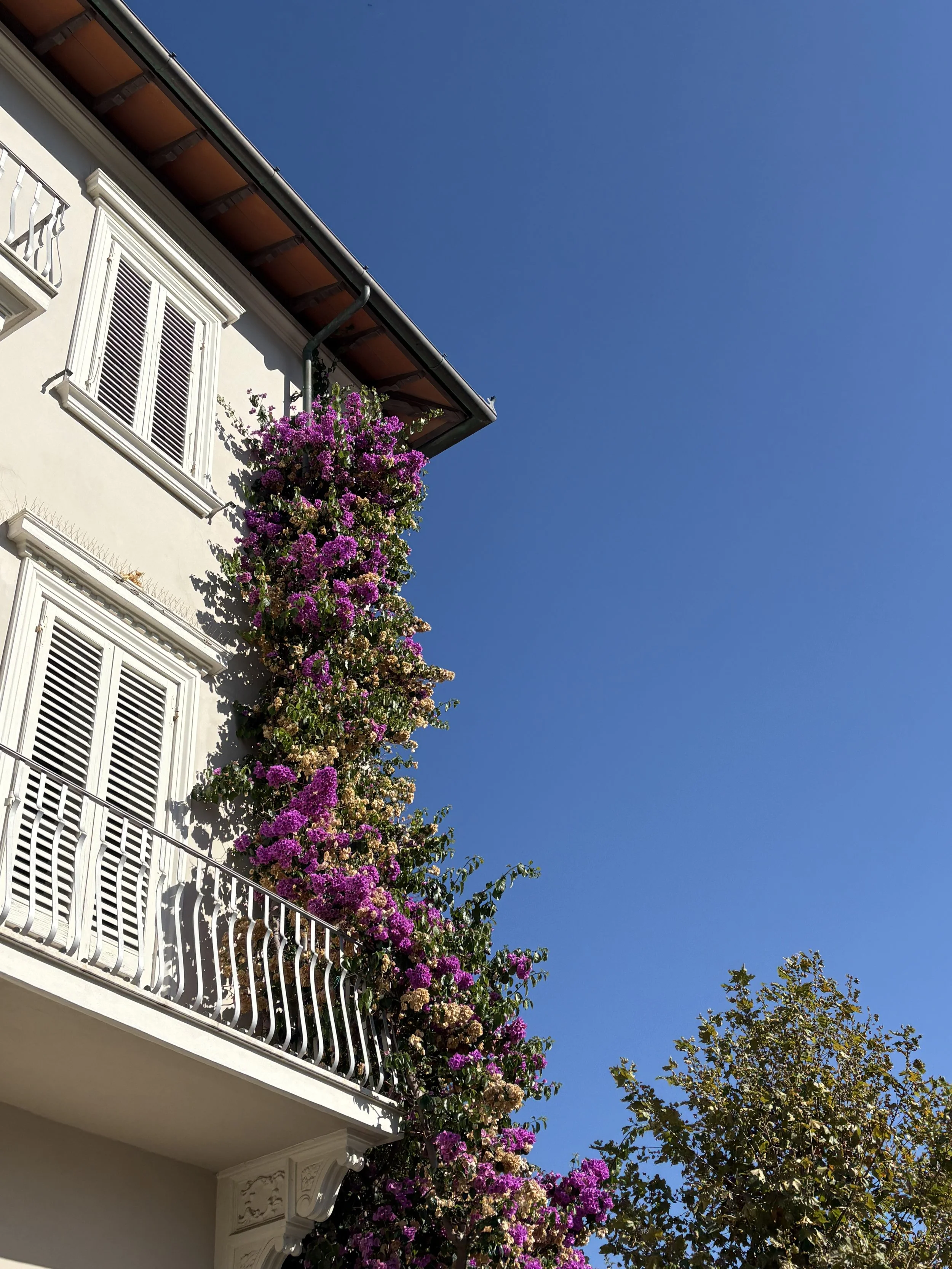 Forte dei Marmi scenery.jpeg