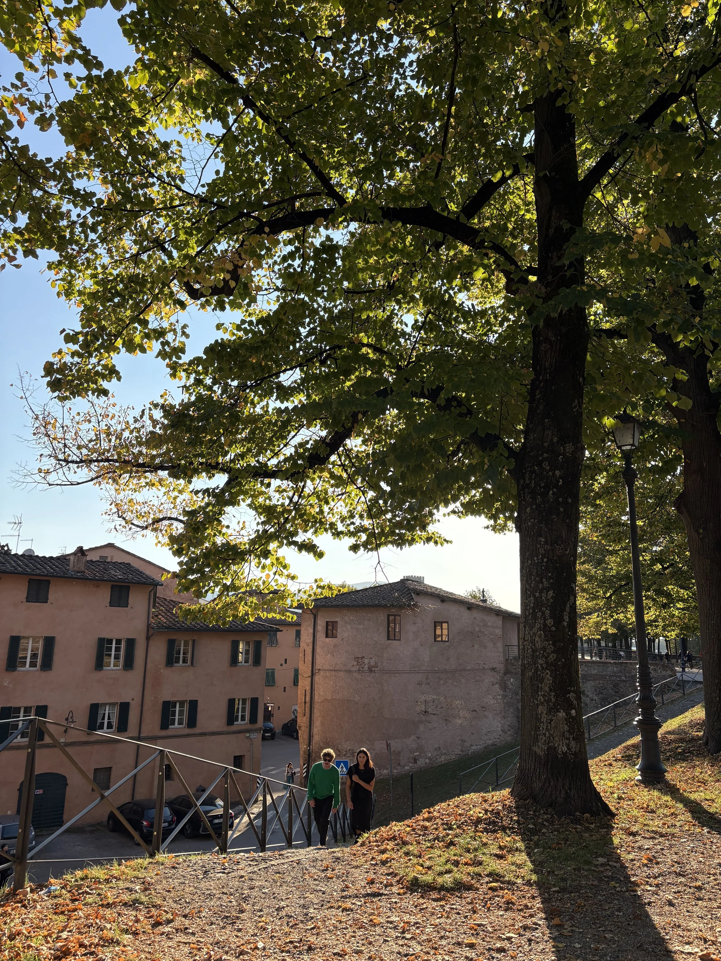 Beautiful Lucca October.jpeg