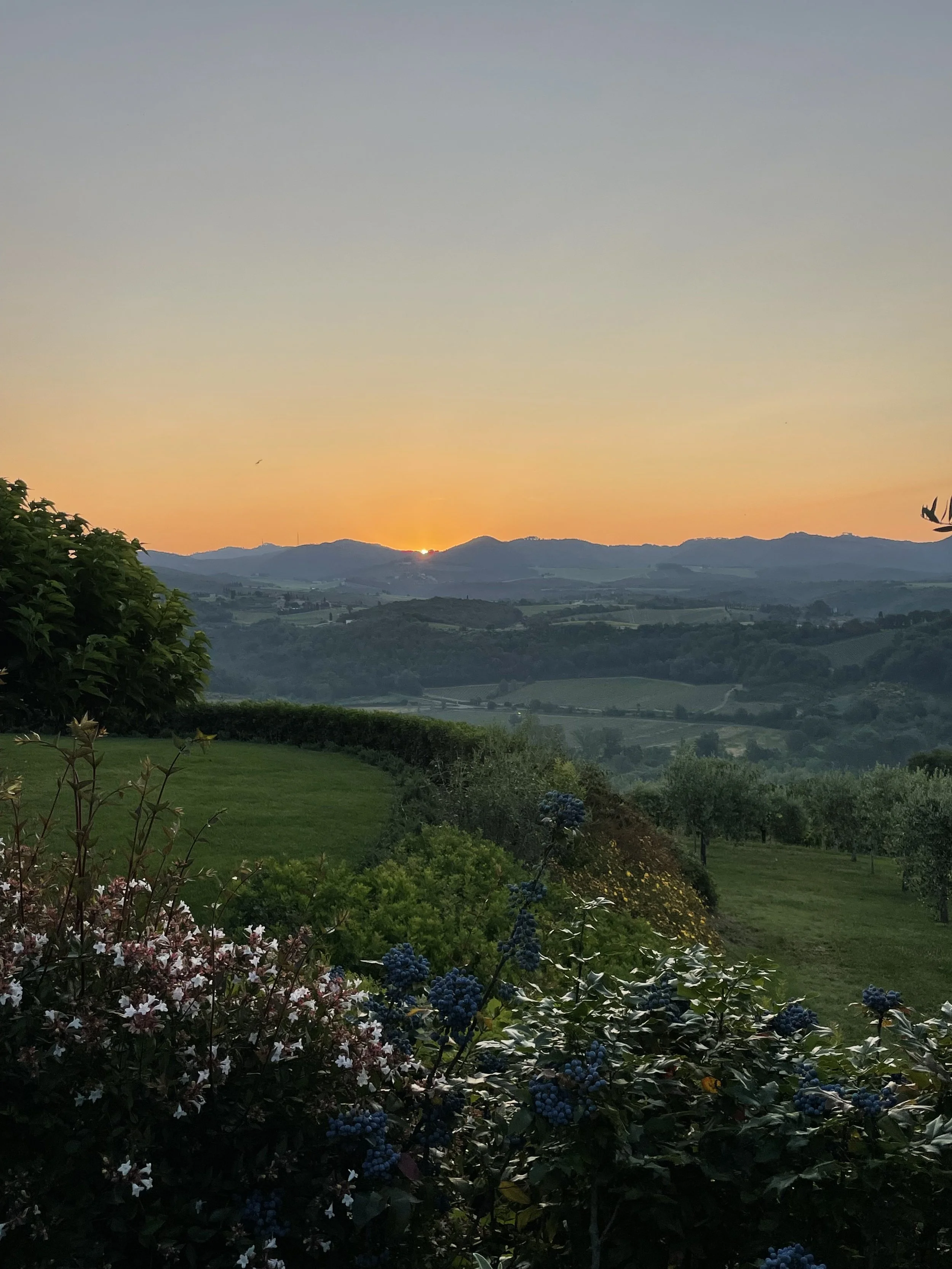 Sunset Hotel Le Fontanelle Tuscany.jpeg