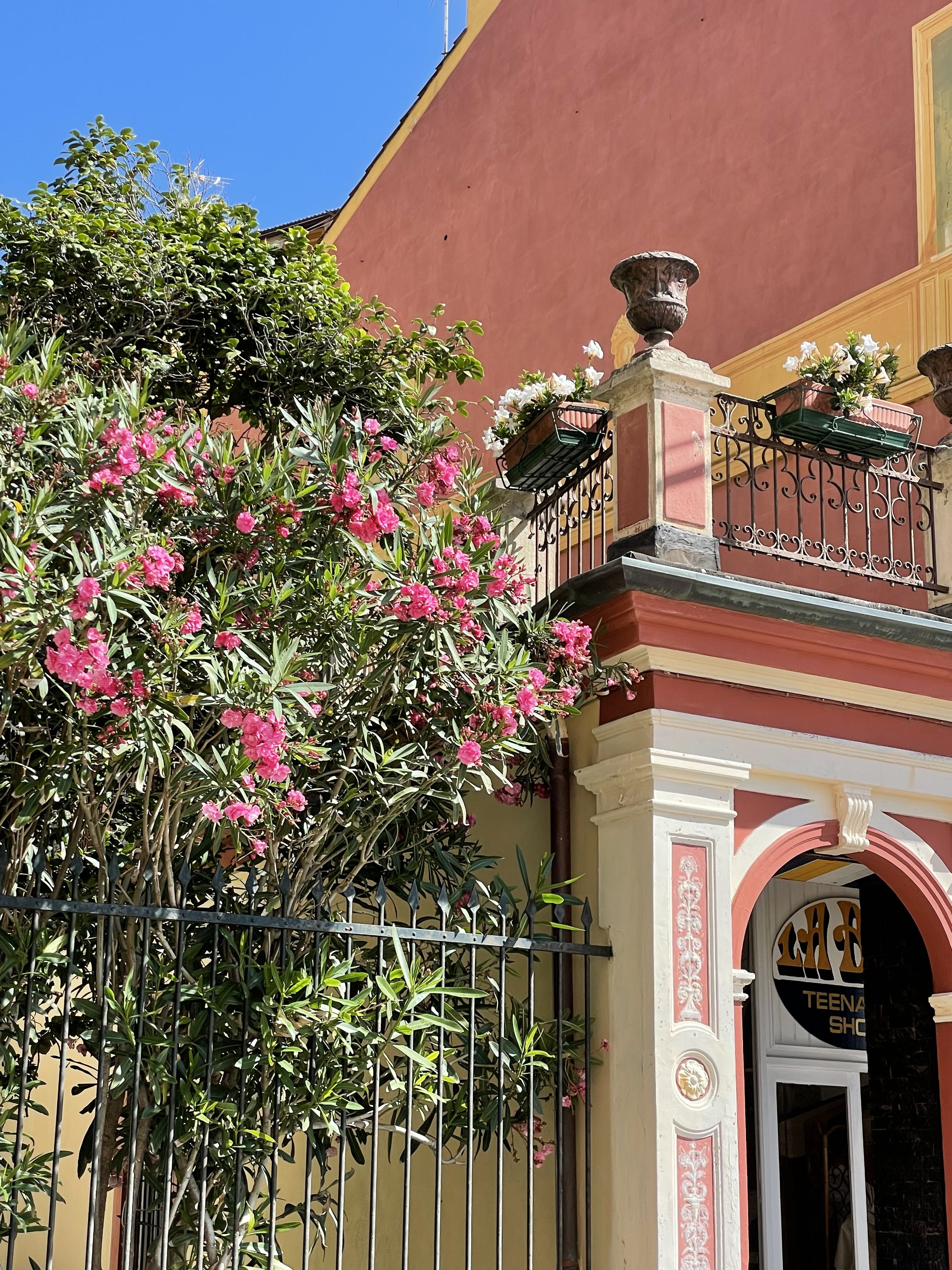 Celle Ligure Isabetta Andolini Italy.jpeg