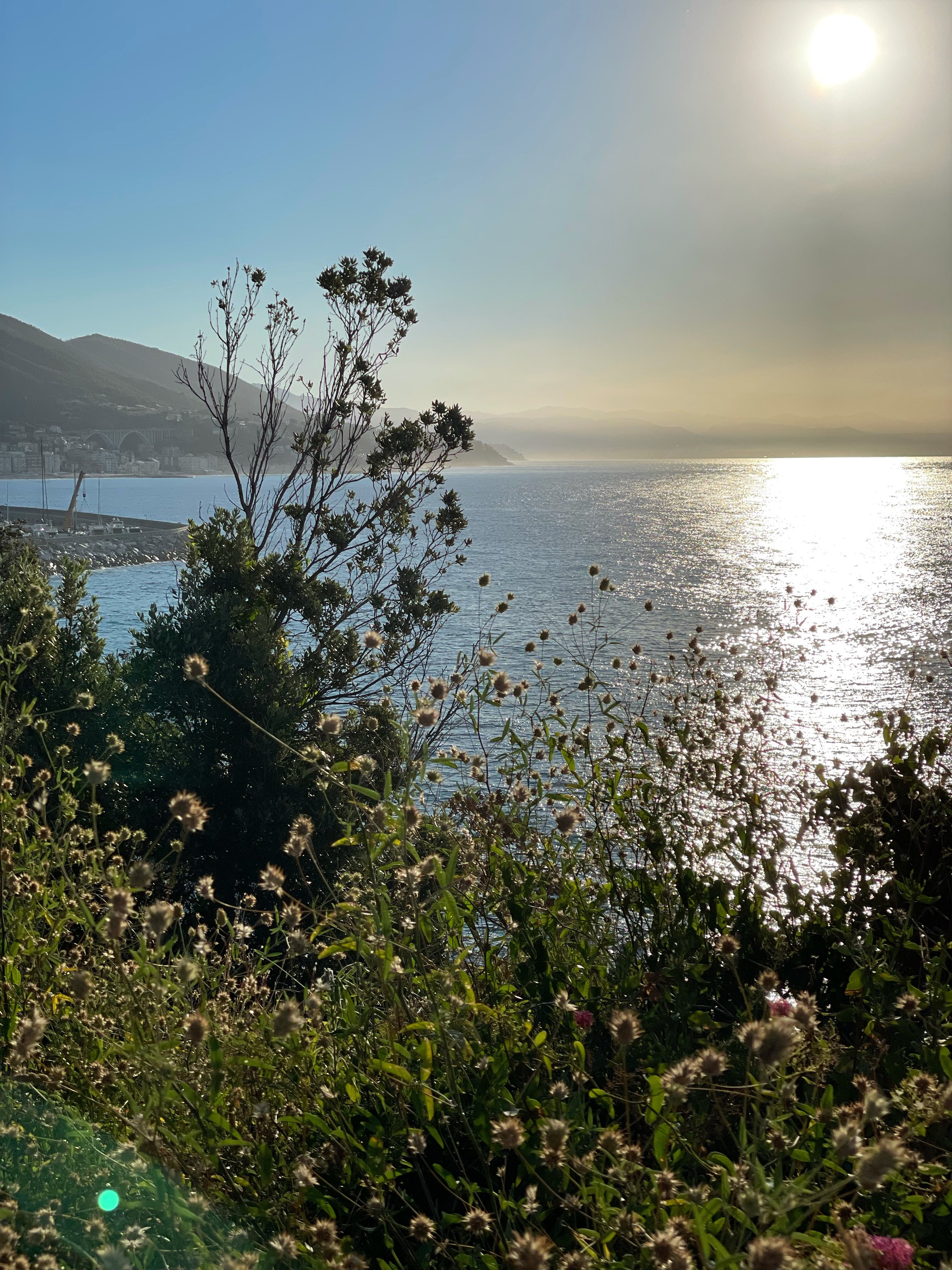 Ligurian seaside town