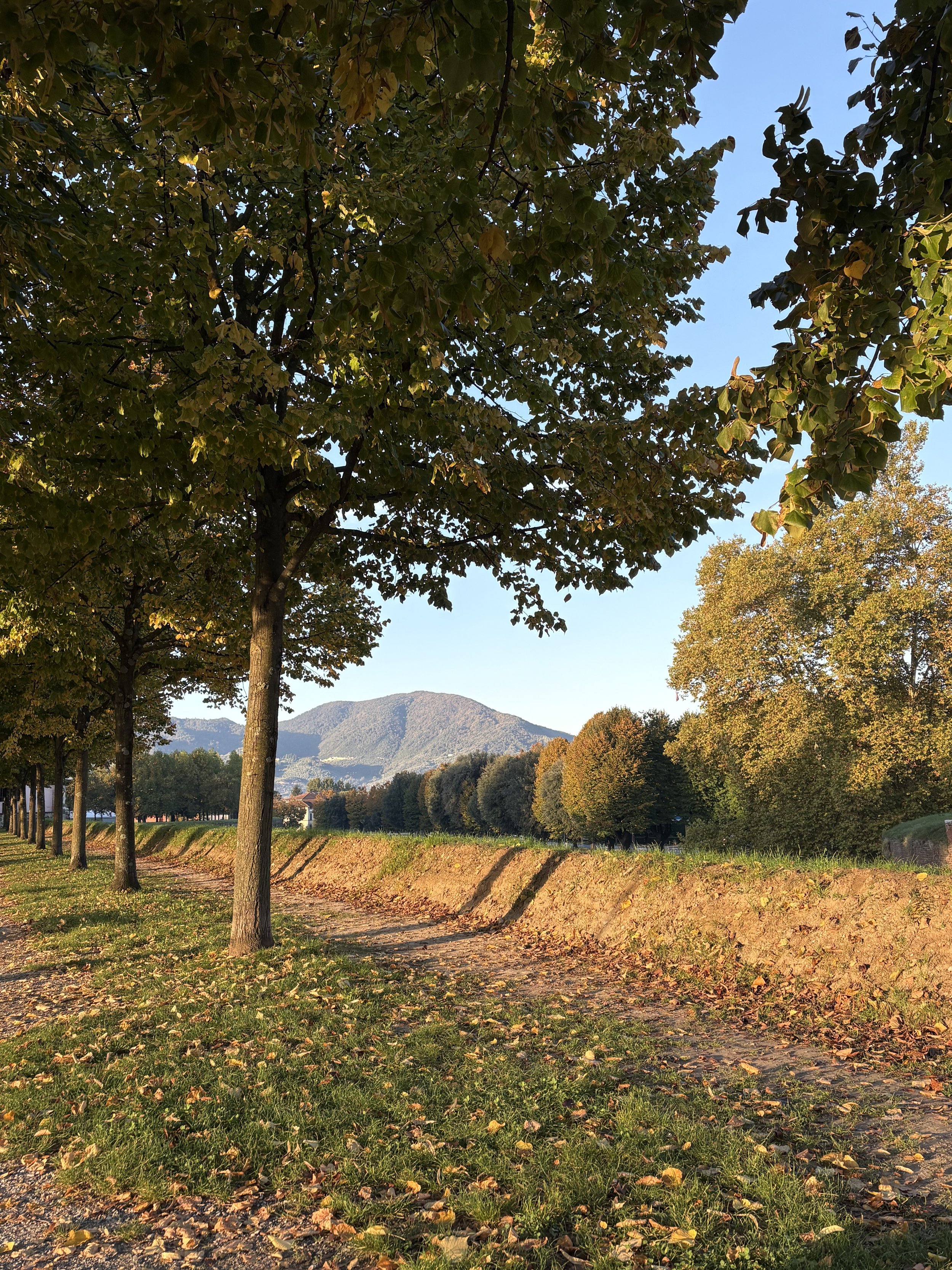 Lucca Italy in Autumn.jpeg