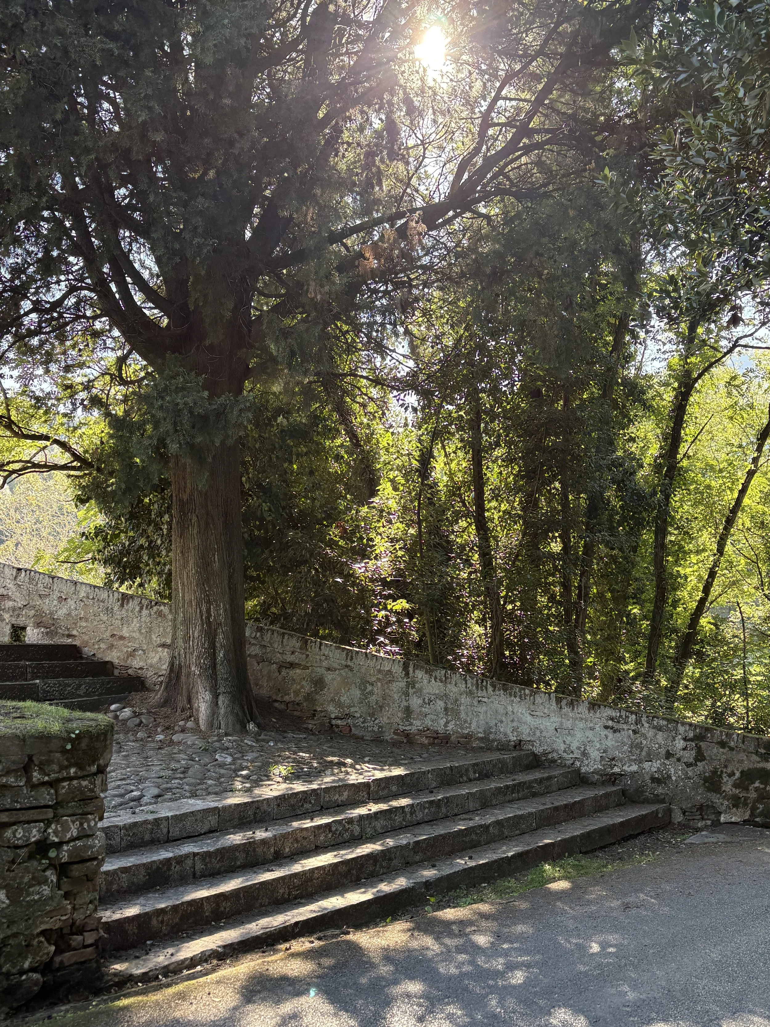 Tuscany Photography, Lucca countryside.jpeg