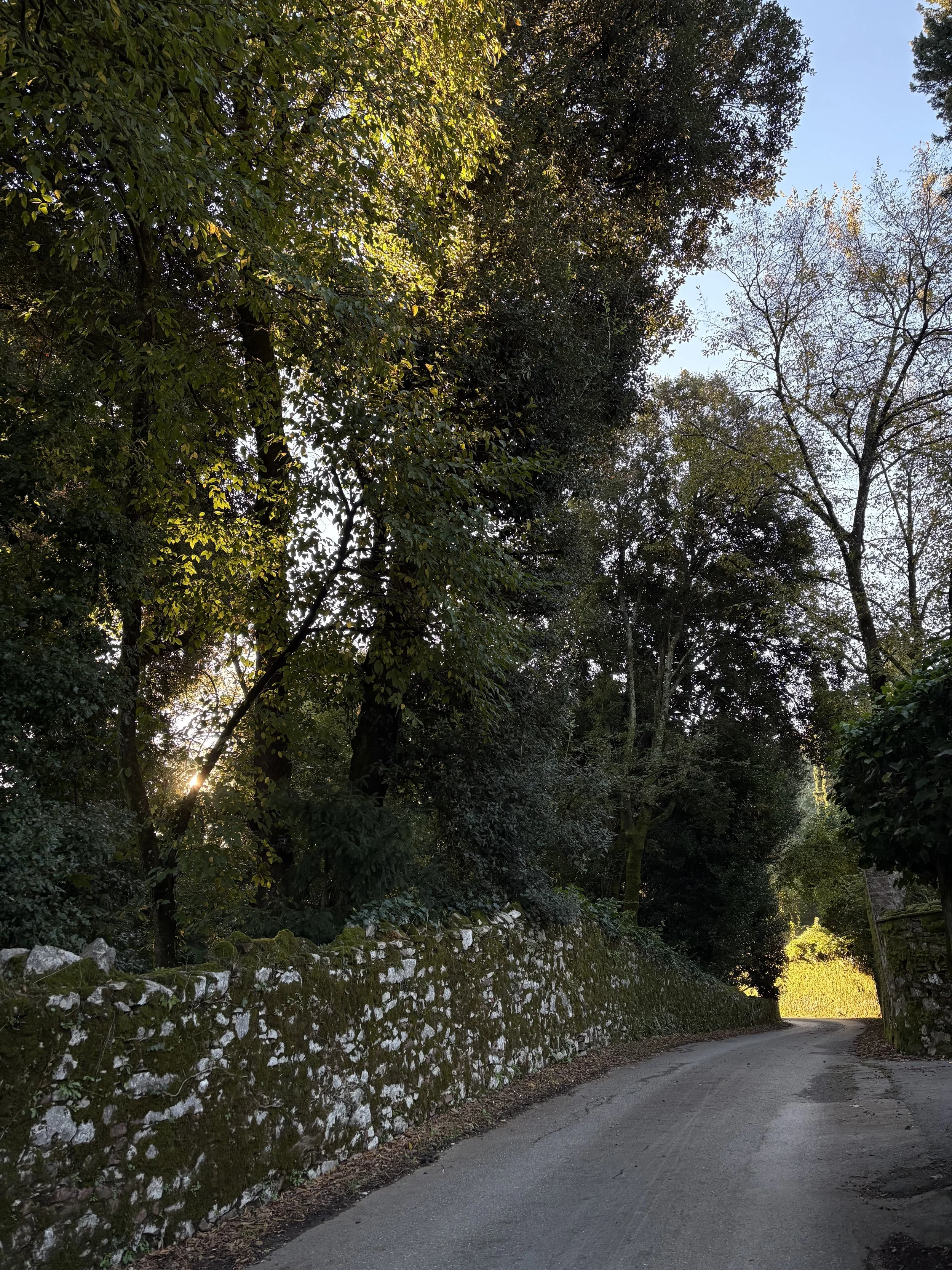 Tuscan stone wall.jpeg