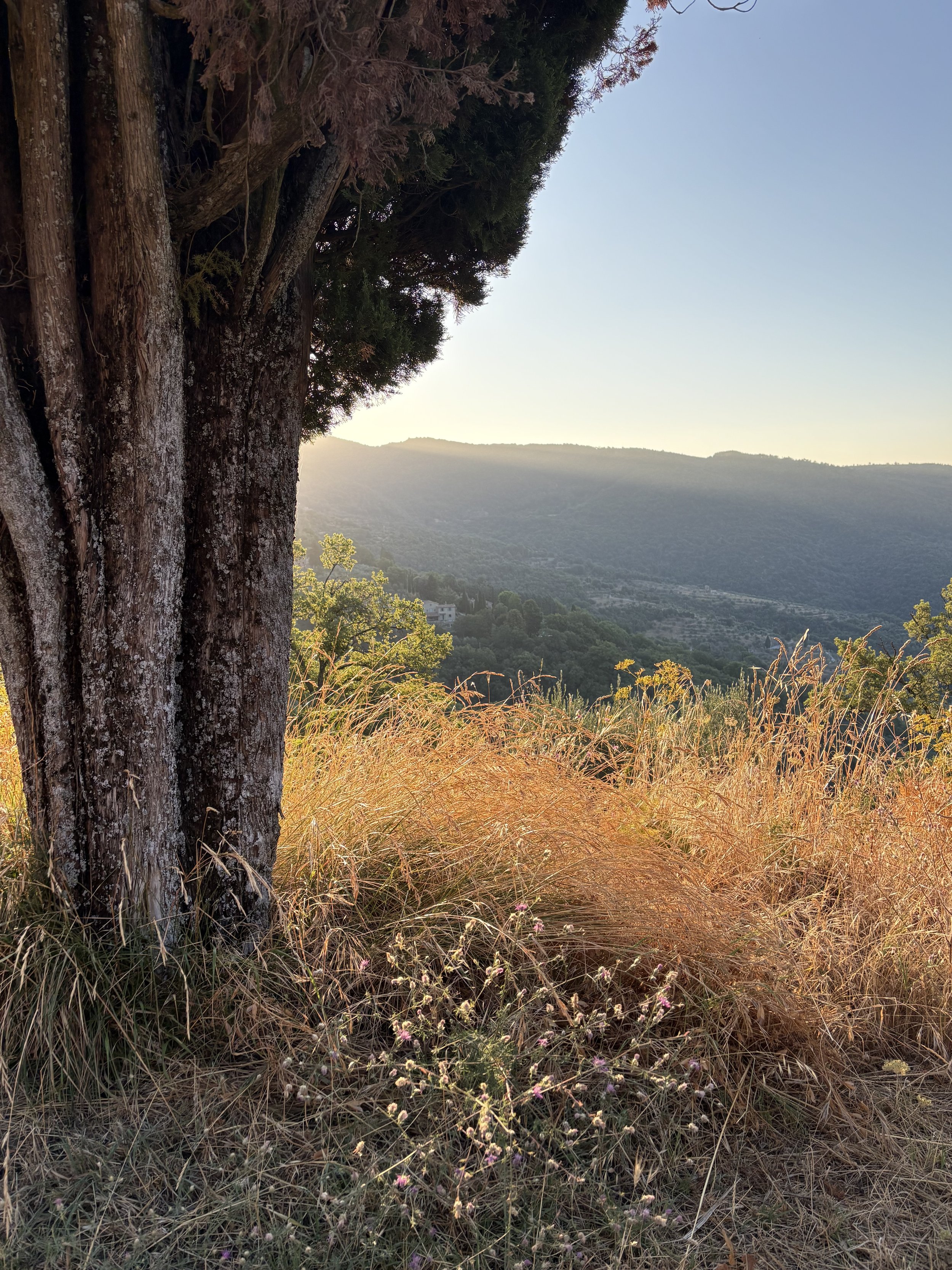 Cortona nature photography.jpeg