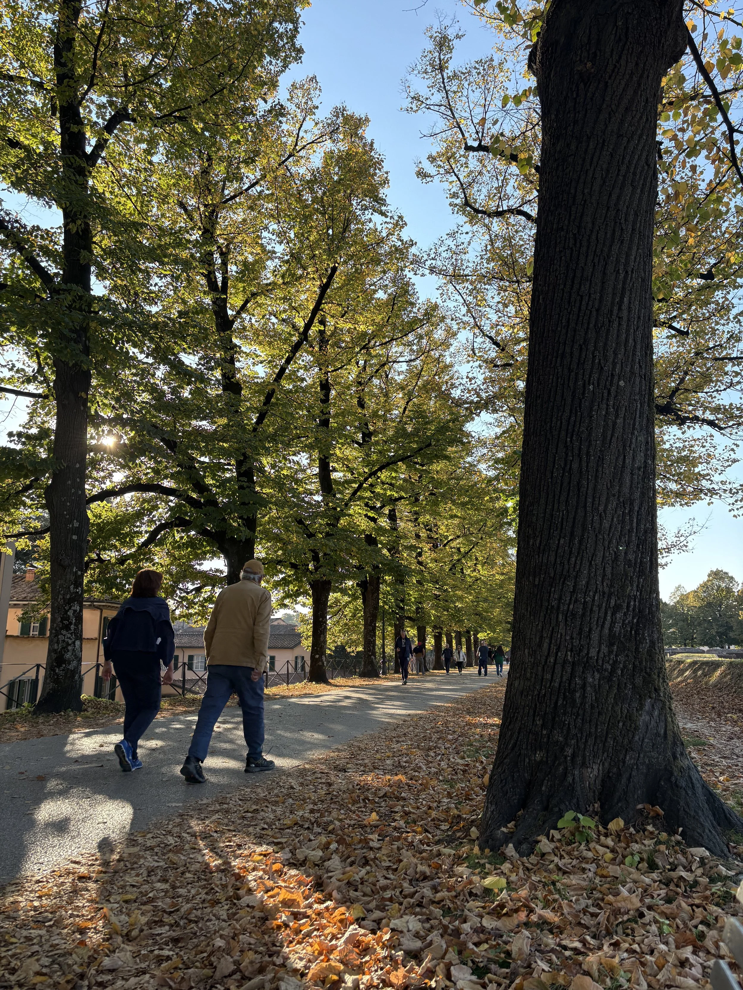 Charming Lucca in Autumn.jpeg