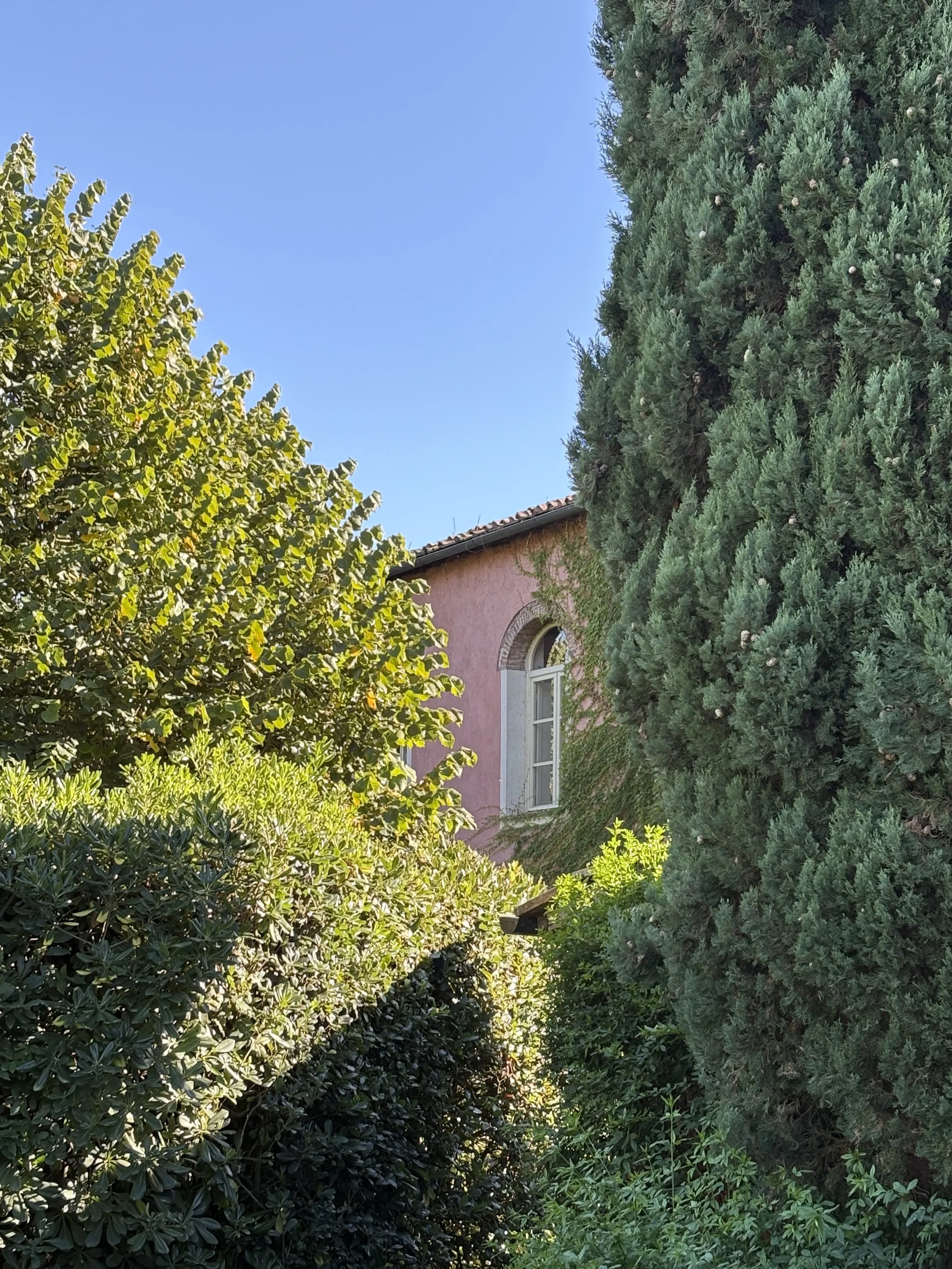 Beautiful Lucca countryside in october.jpeg