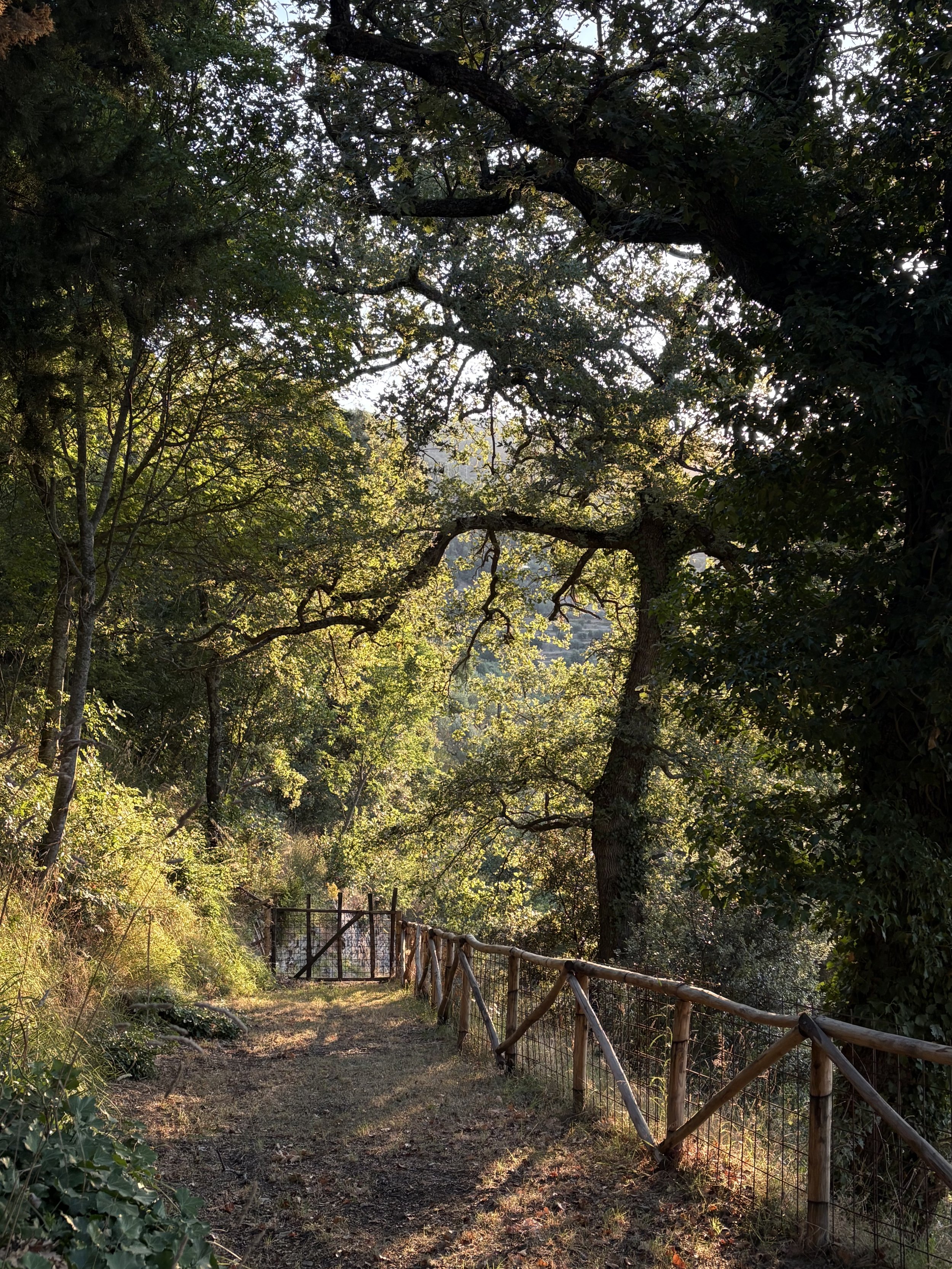 Beauty in Cortona Italy.jpeg
