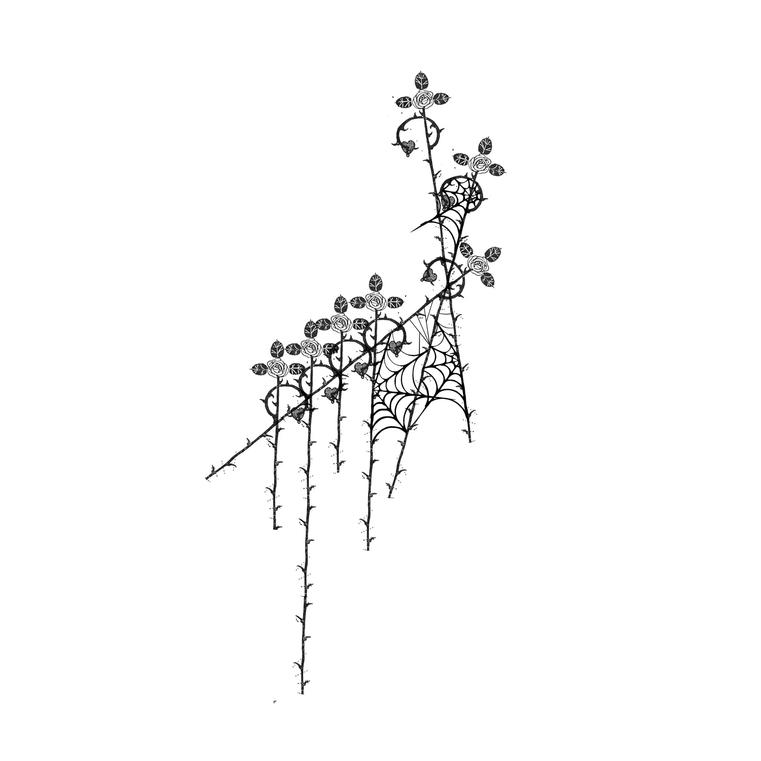 C3BB9CE4-DD04-4F30-A8BB-4CECFFEDC31E.jpeg