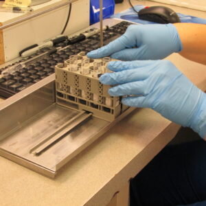 Lab-2015-03-20-3-300x300.jpg