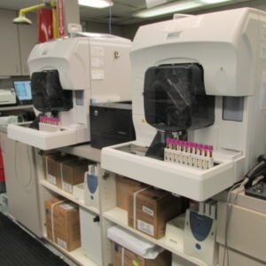 Lab-2015-03-20-1-300x300.jpg