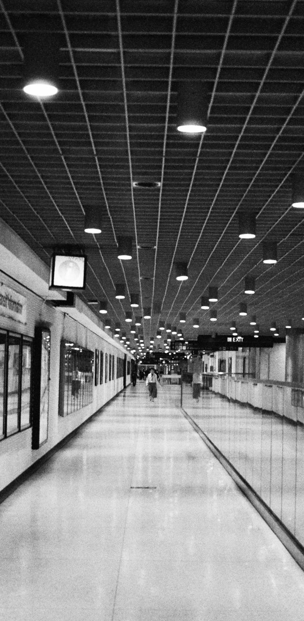 BART Shinning.jpeg