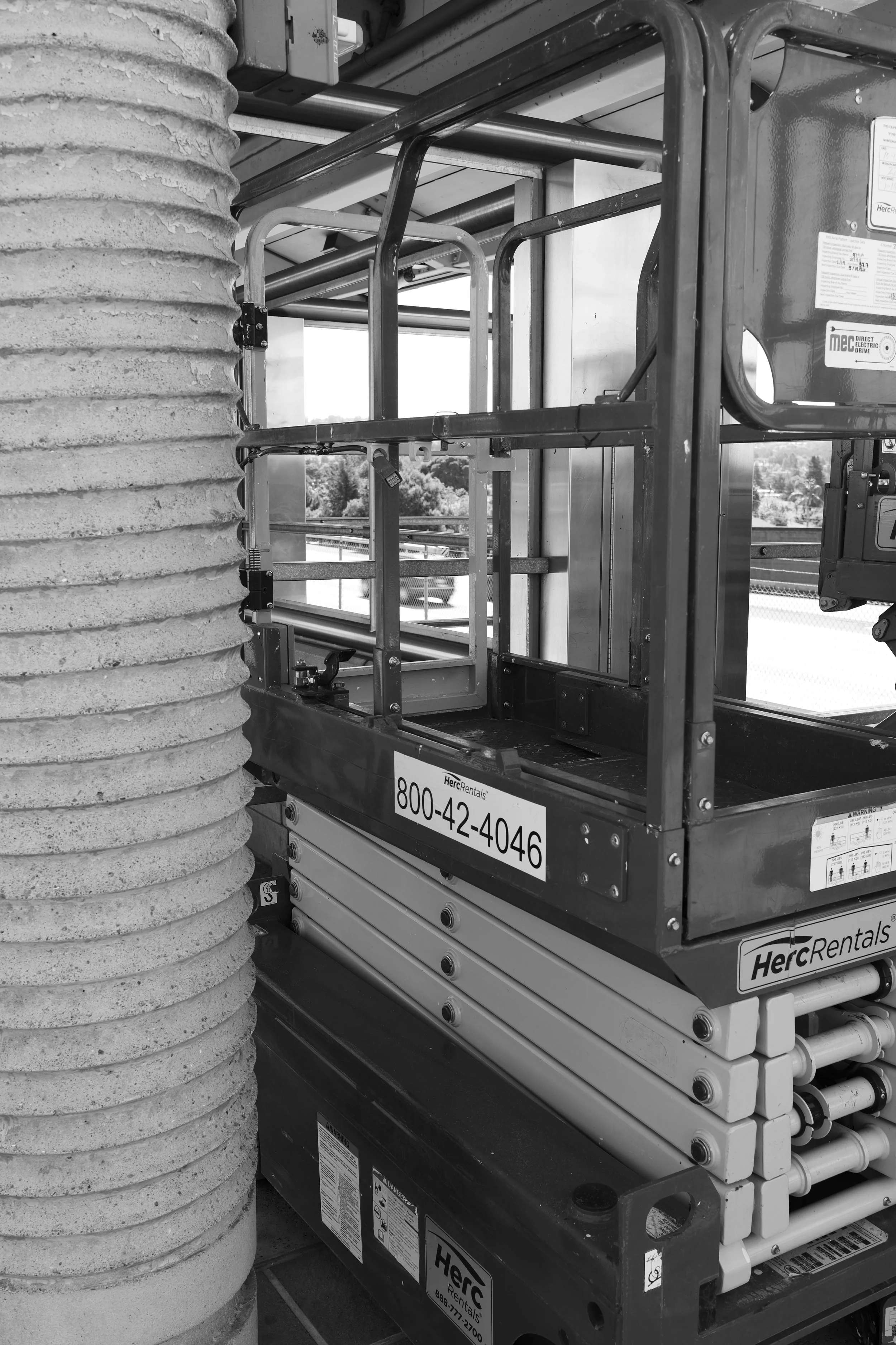 P1000055_lab.jpg