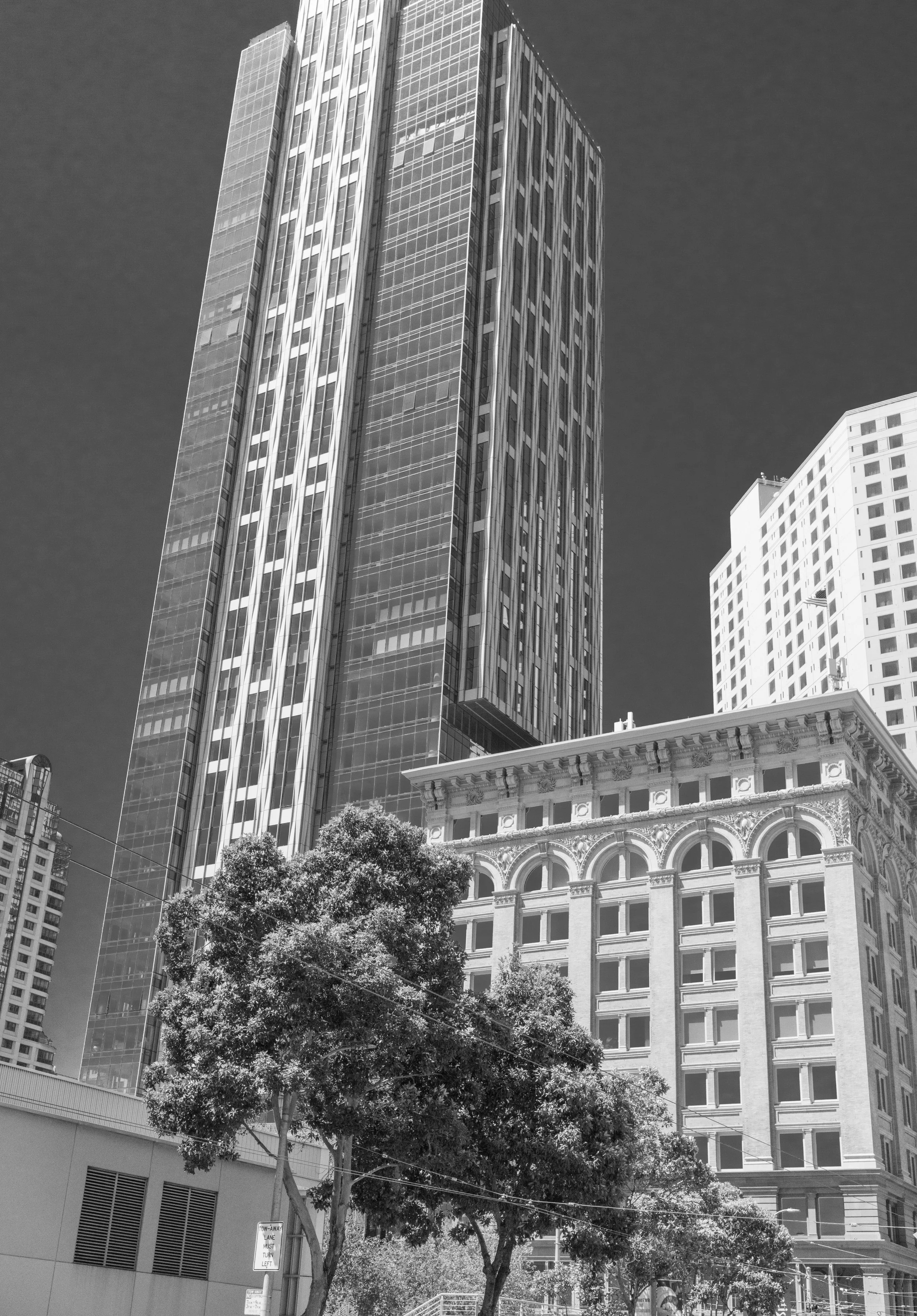 DSC00113.jpg