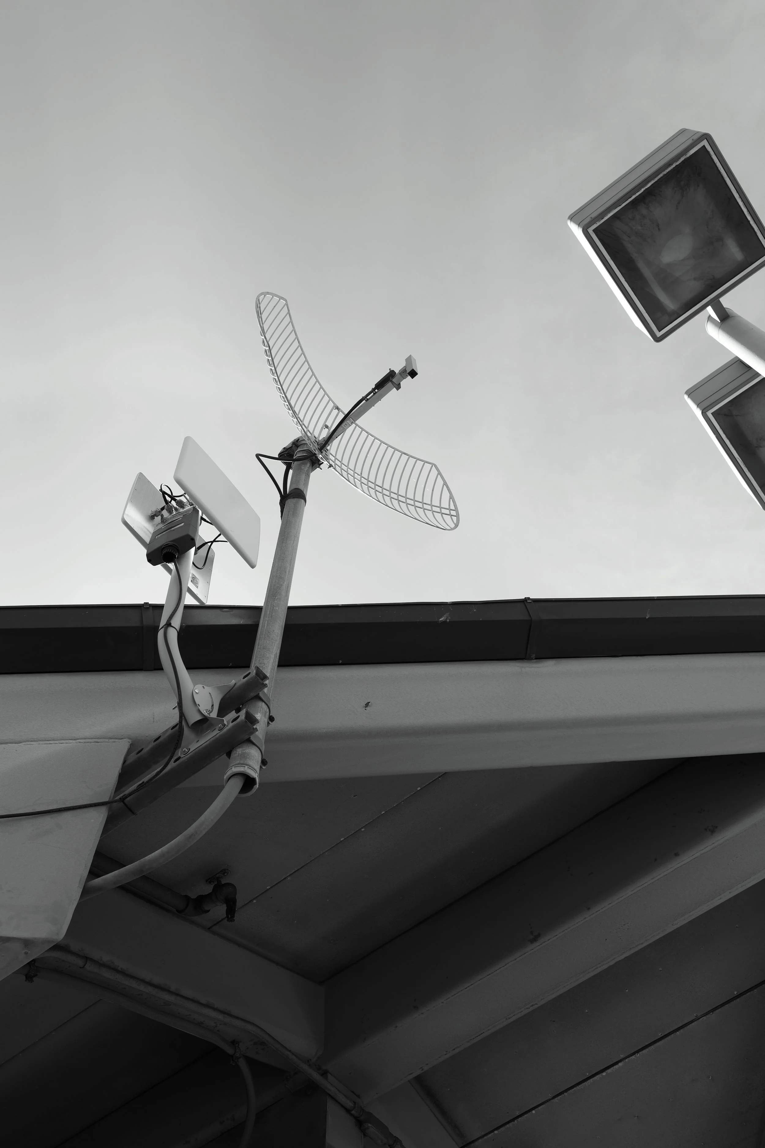 P1000056_lab.jpg