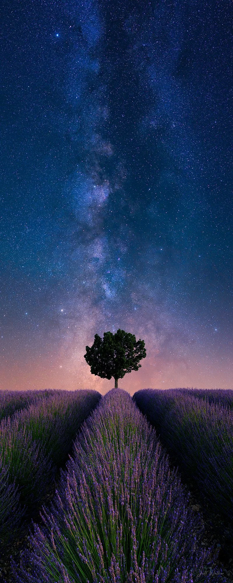 NEVER ALONE - Vert Lav.jpg