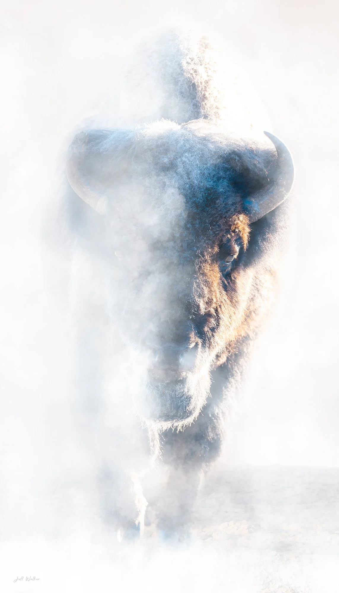 FACE THE STORM - Colour.jpg