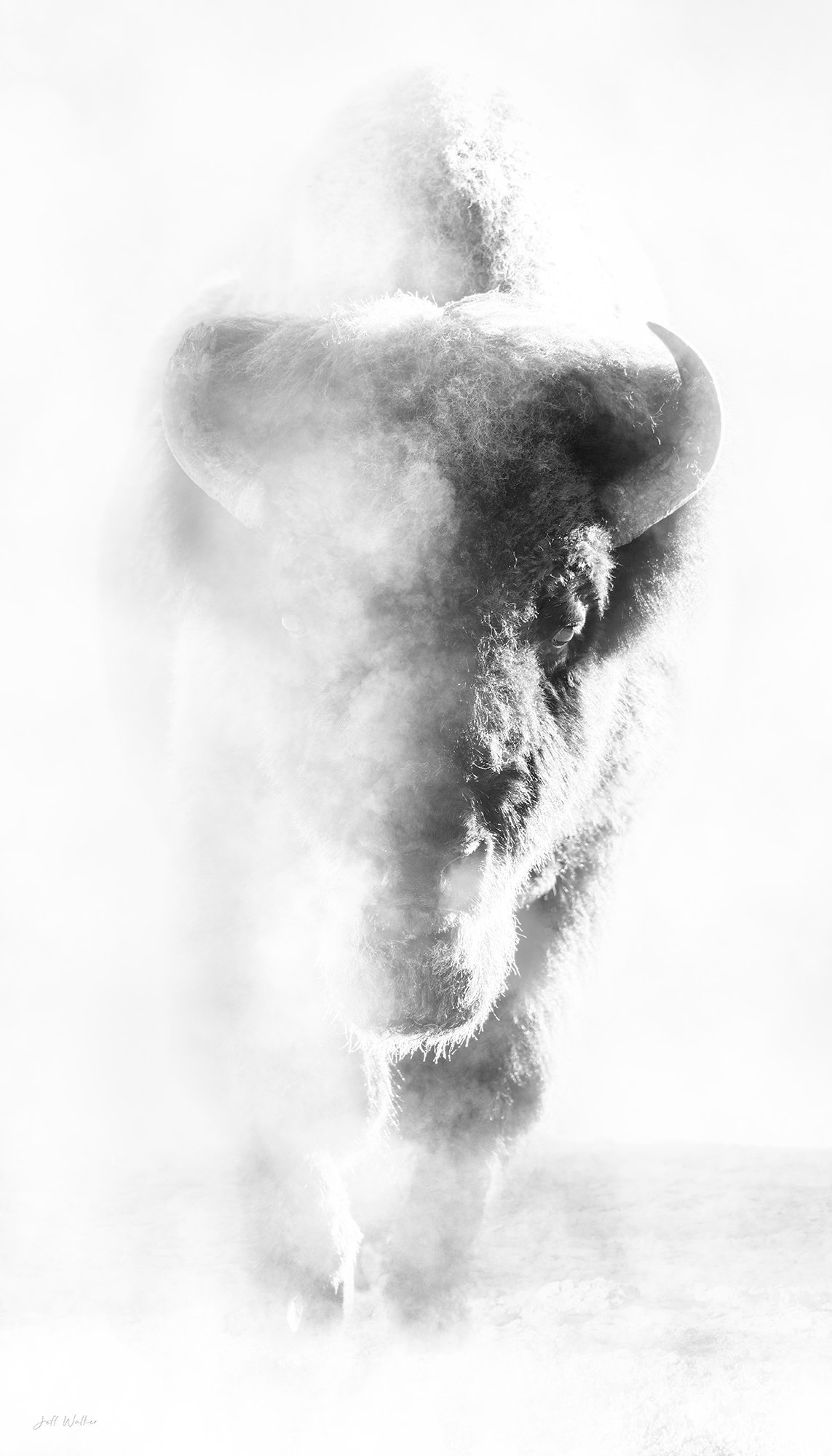 FACE THE STORM - B&W.jpg