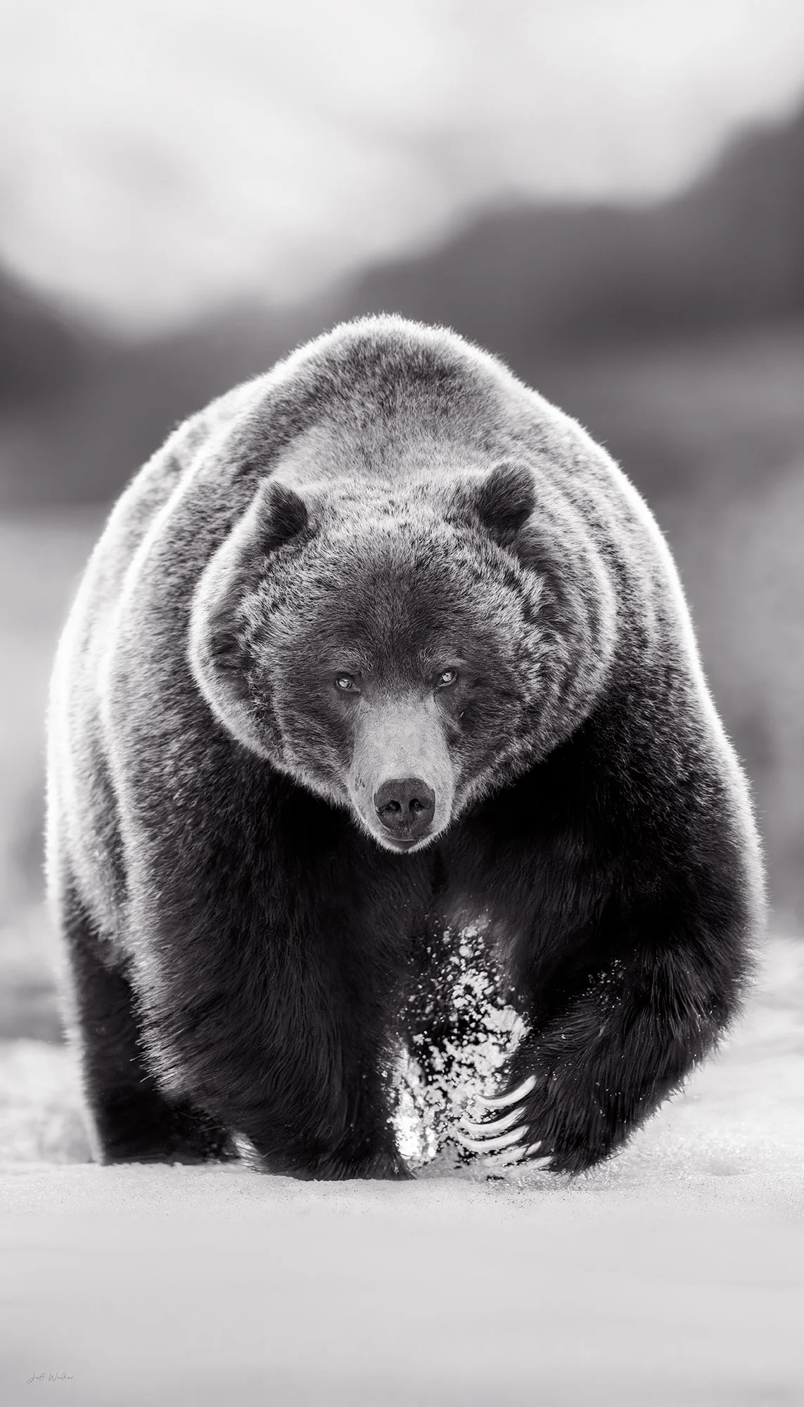 SNOW BOSS - B&W.jpg