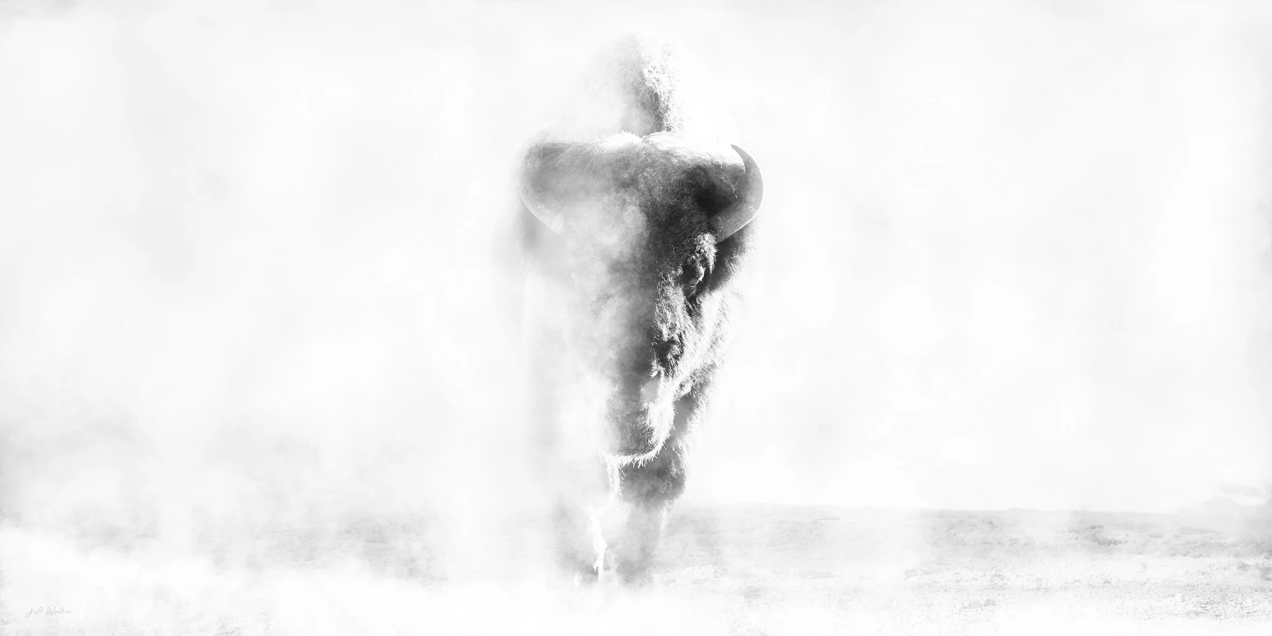 FACE THE STORM Landscape BW.jpg