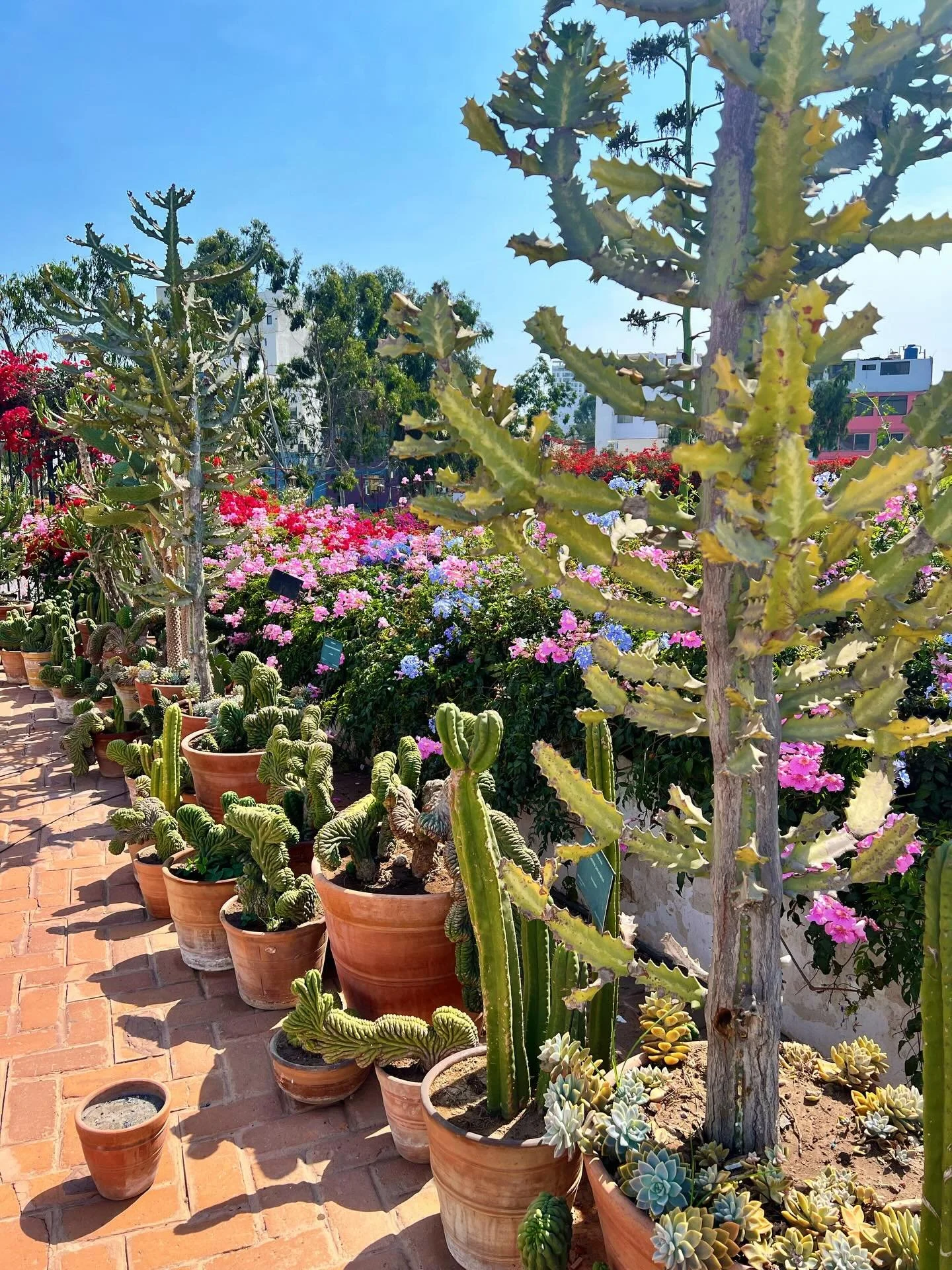 We can&rsquo;t believe we&rsquo;re finally wishing a buen viaje to our awesome adventurers heading to Peru tomorrow! They&rsquo;ll enjoy a few days in Lima before heading to the Peruvian Amazon 🌿🦜🐆🌎
-
-
#duendetravels #travelwithduende #barrancol