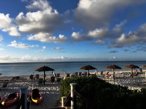Bad weather? These two wouldn&rsquo;t know anything about that 🌴
-
-
#duendetravels #travelwithduende #turksandcaicos #virtuosotraveladvisor #boutiquetravelagency