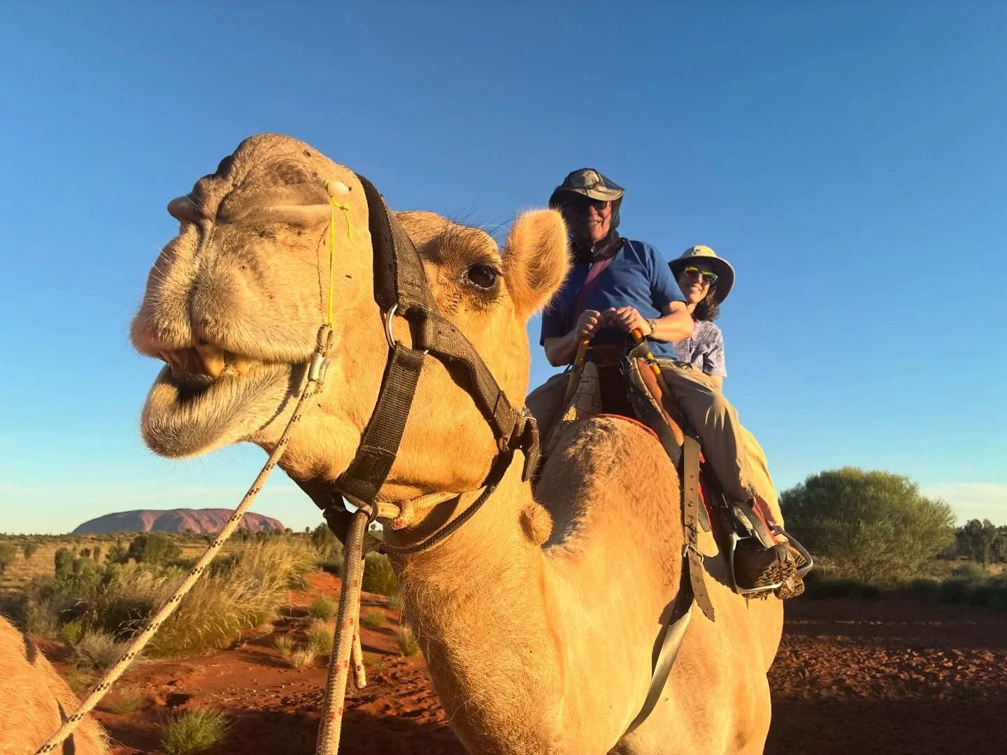 Scenes from (not even half of) our travelers&rsquo; 6-week adventure through Australia + New Zealand! They&rsquo;ve visited Sydney, Uluru, the Great Barrier Reef, and Tasmania&hellip; with much more to come 🦘🇦🇺
-
-
#duendetravels #travelwithduende