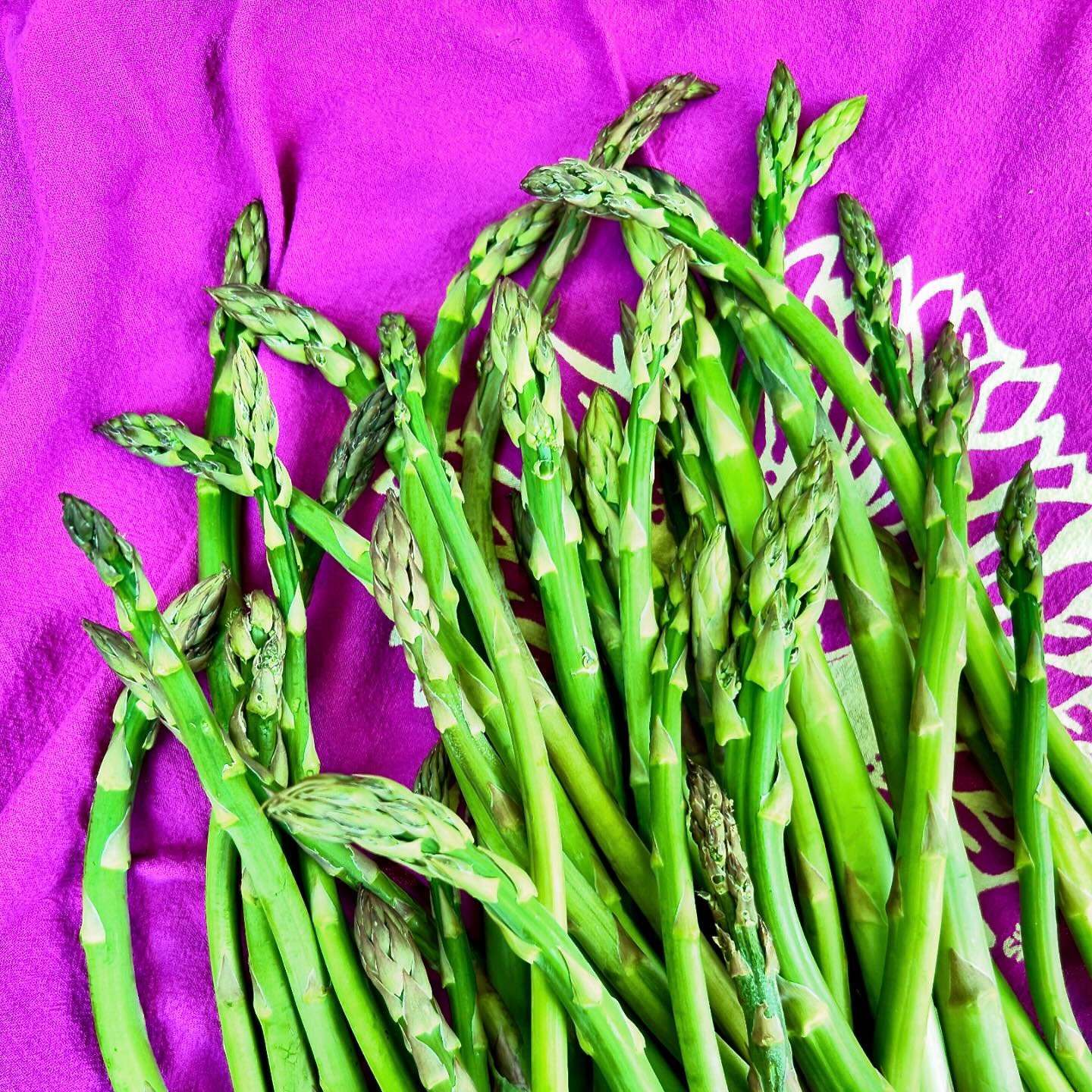 Stalked the wild asparagus with @chefalexmccoy on the Eastern Shore and came home with these beauts. 

It&rsquo;s amazing. You can literally find it growing on the roadside, you just need to know how and where to look for it. 

I steamed some, enjoyi