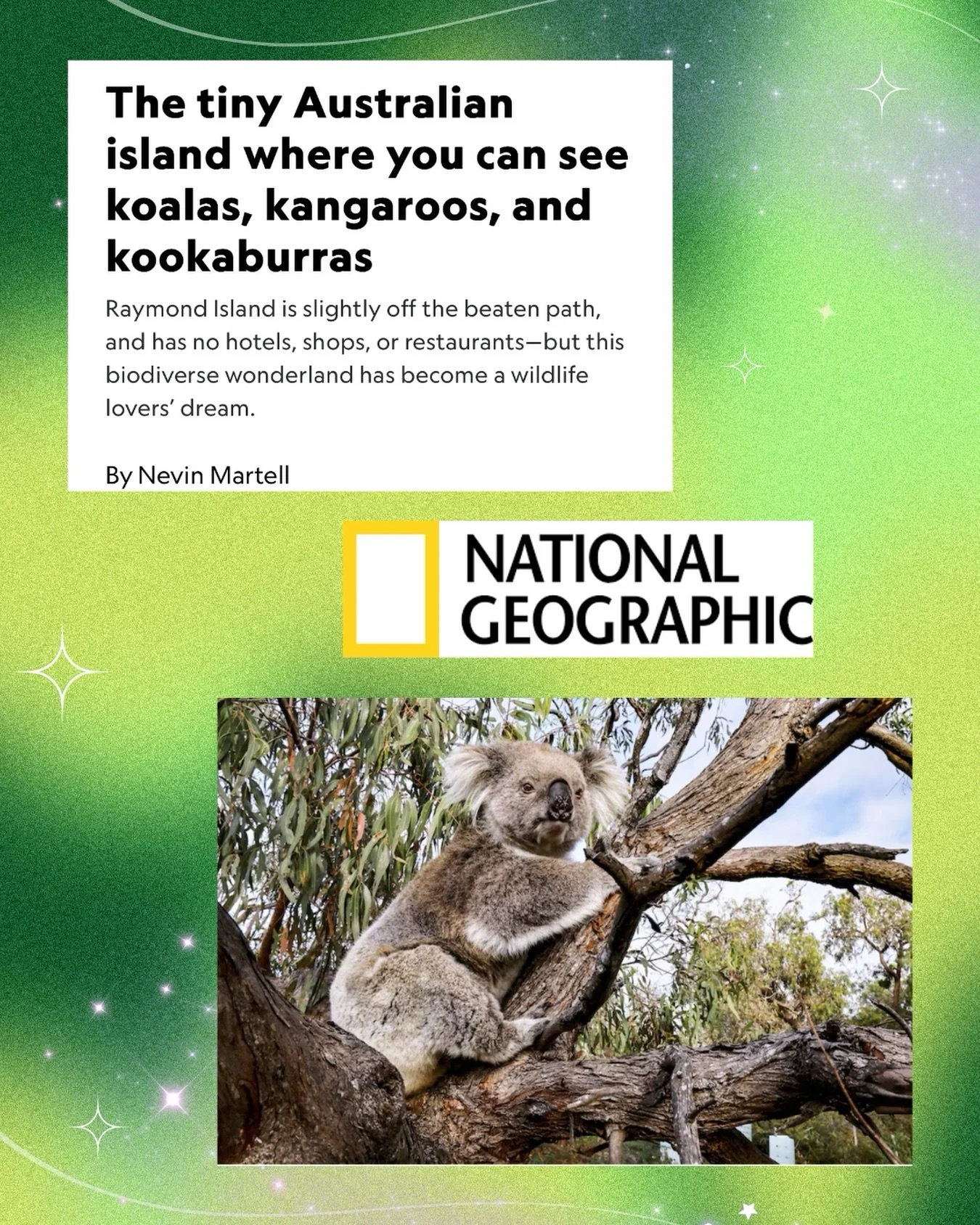 In my latest story @natgeo, I visit Australia&rsquo;s tiny Raymond Island, where I experienced an amazing abundance of wildlife. 

Less than three square miles and roughly the shape of a crushed bowler hat, Raymond Island is in the Gippsland Lakes in