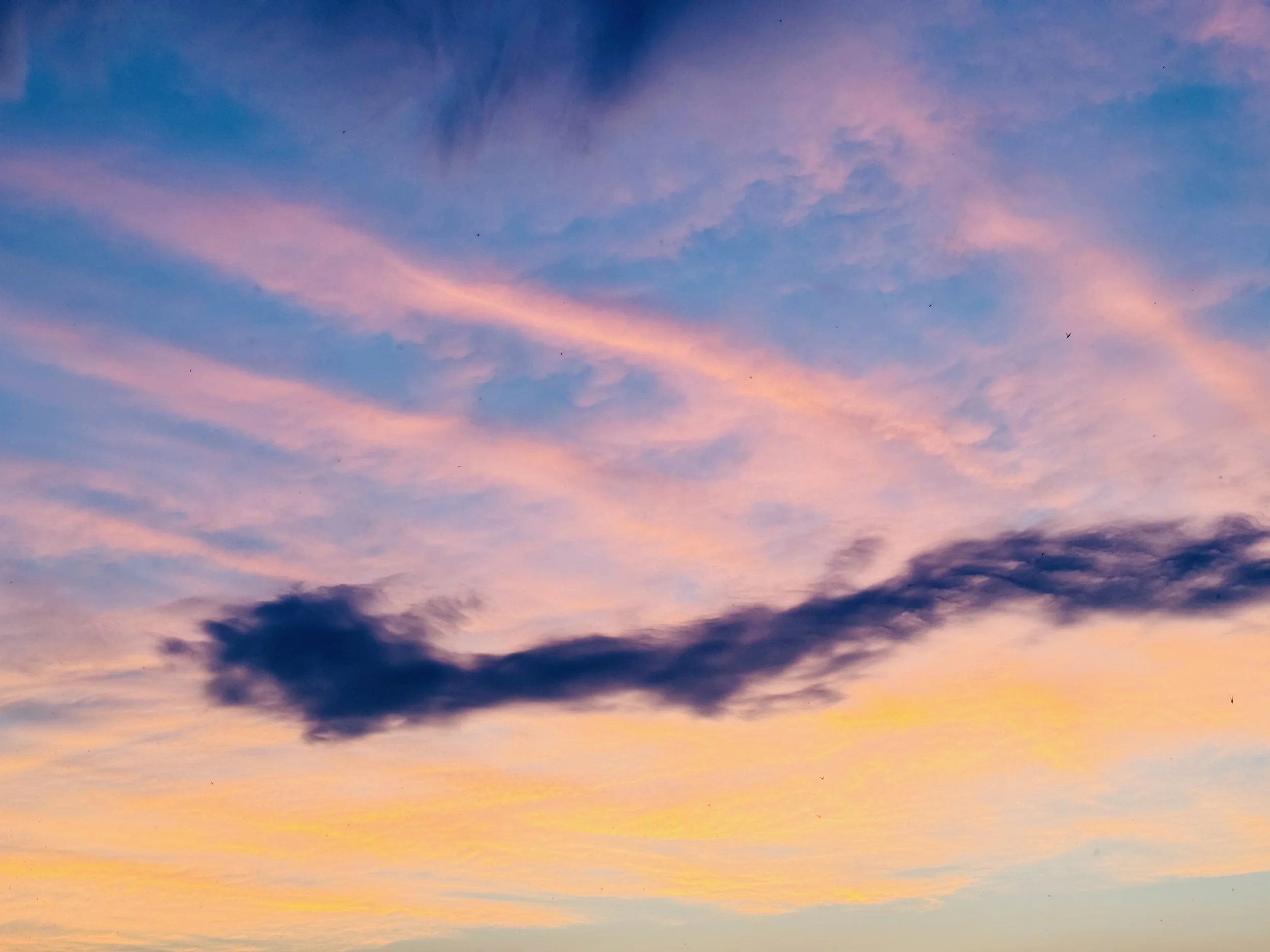 Cotton candy sunset over Lake Champlain.