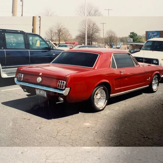 mustang.jpg