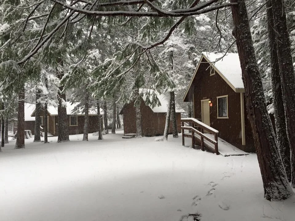 Camp Snowy Cabins.jpg