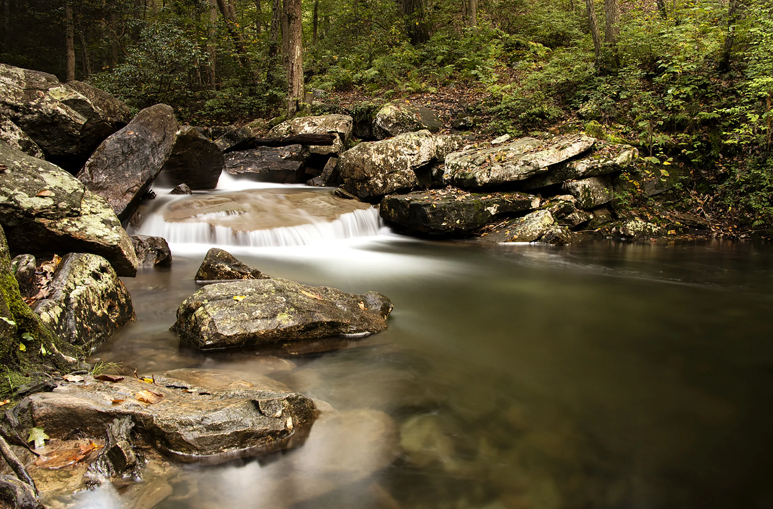 A small waterfall flowing over rocks in a forest with trees and green foliage.