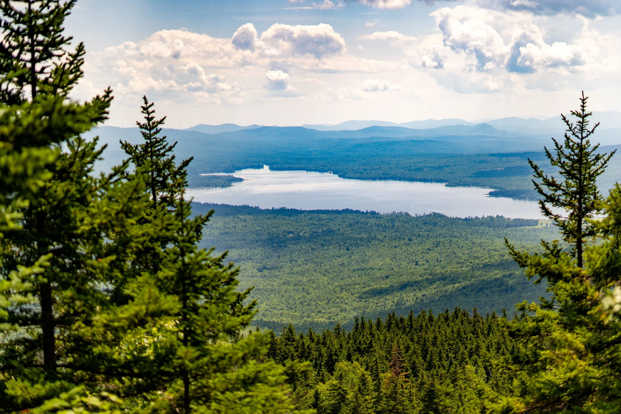 Scenic view of a vast forest with a lake in the distance, surrounded by rolling hills and mountains, under a partly cloudy sky.