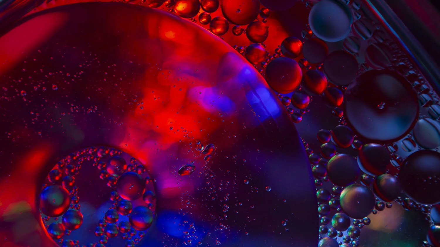 Close-up of oil and water droplets creating colorful abstract patterns with red, blue, and purple hues.