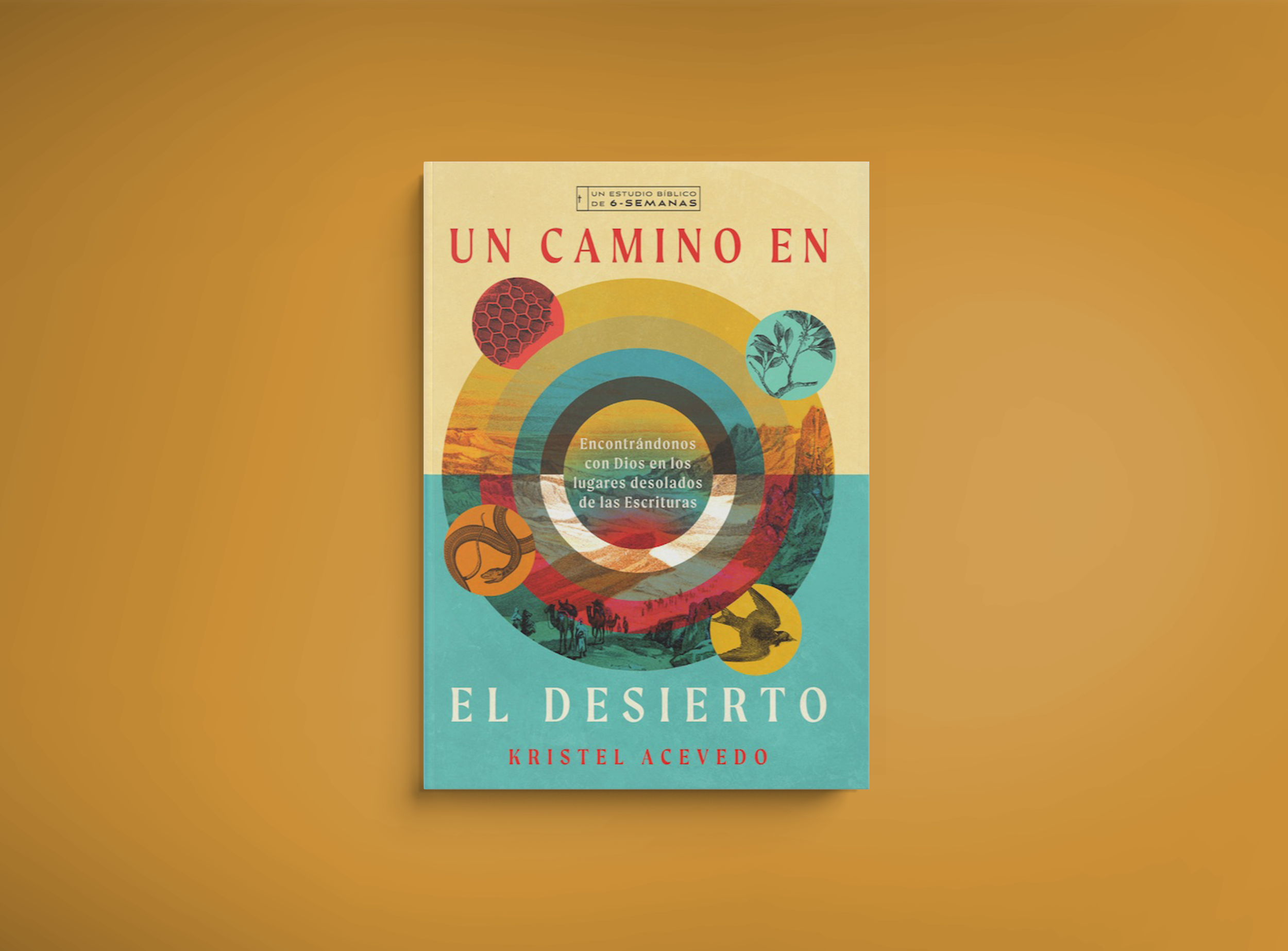 Un Camino en el Desierto