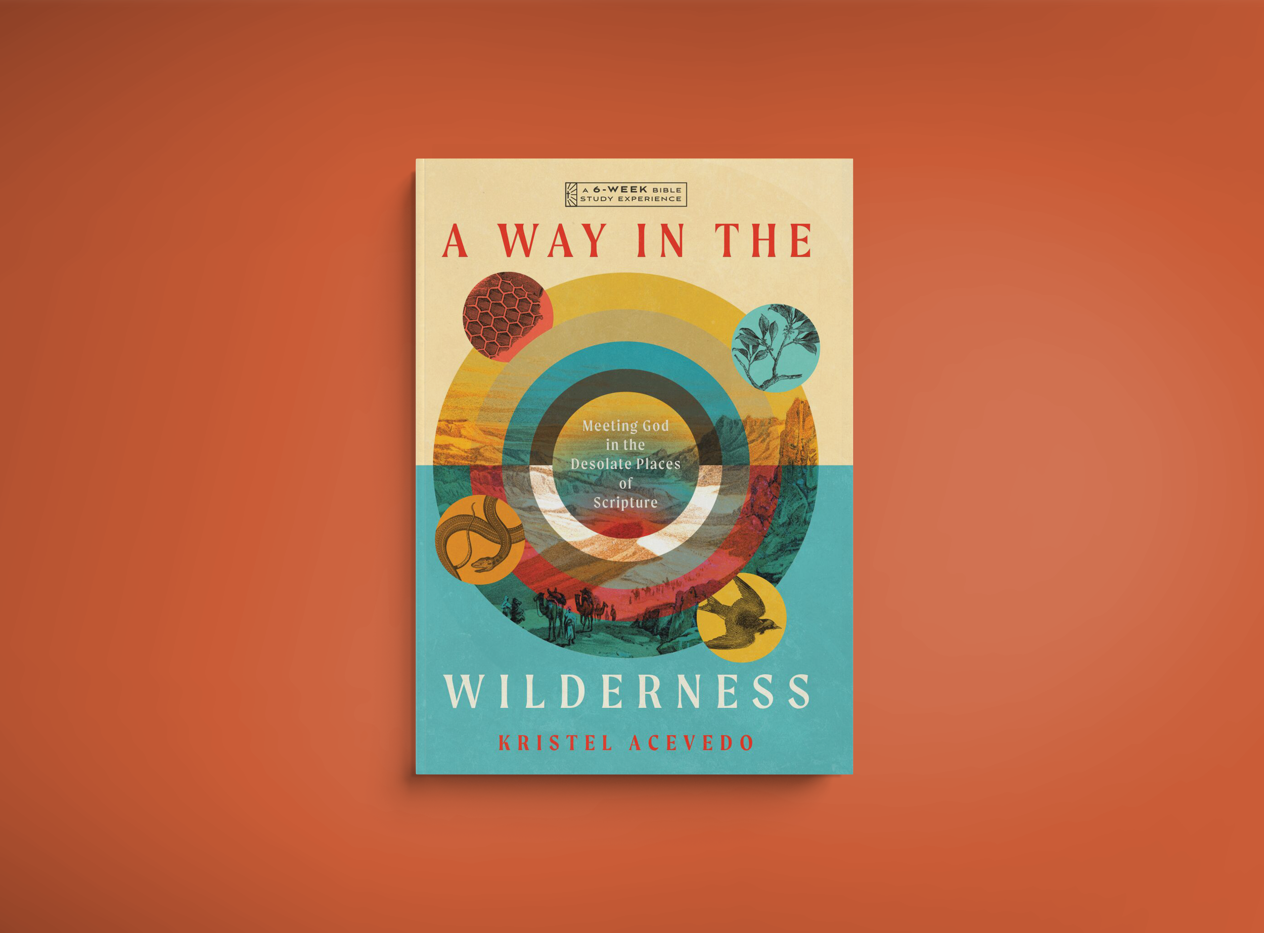 A Way in the Wilderness