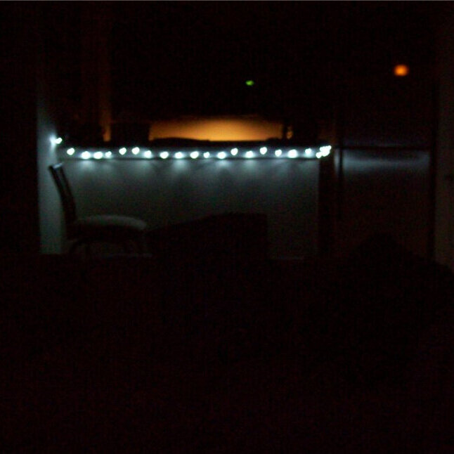 Shot in the Dark