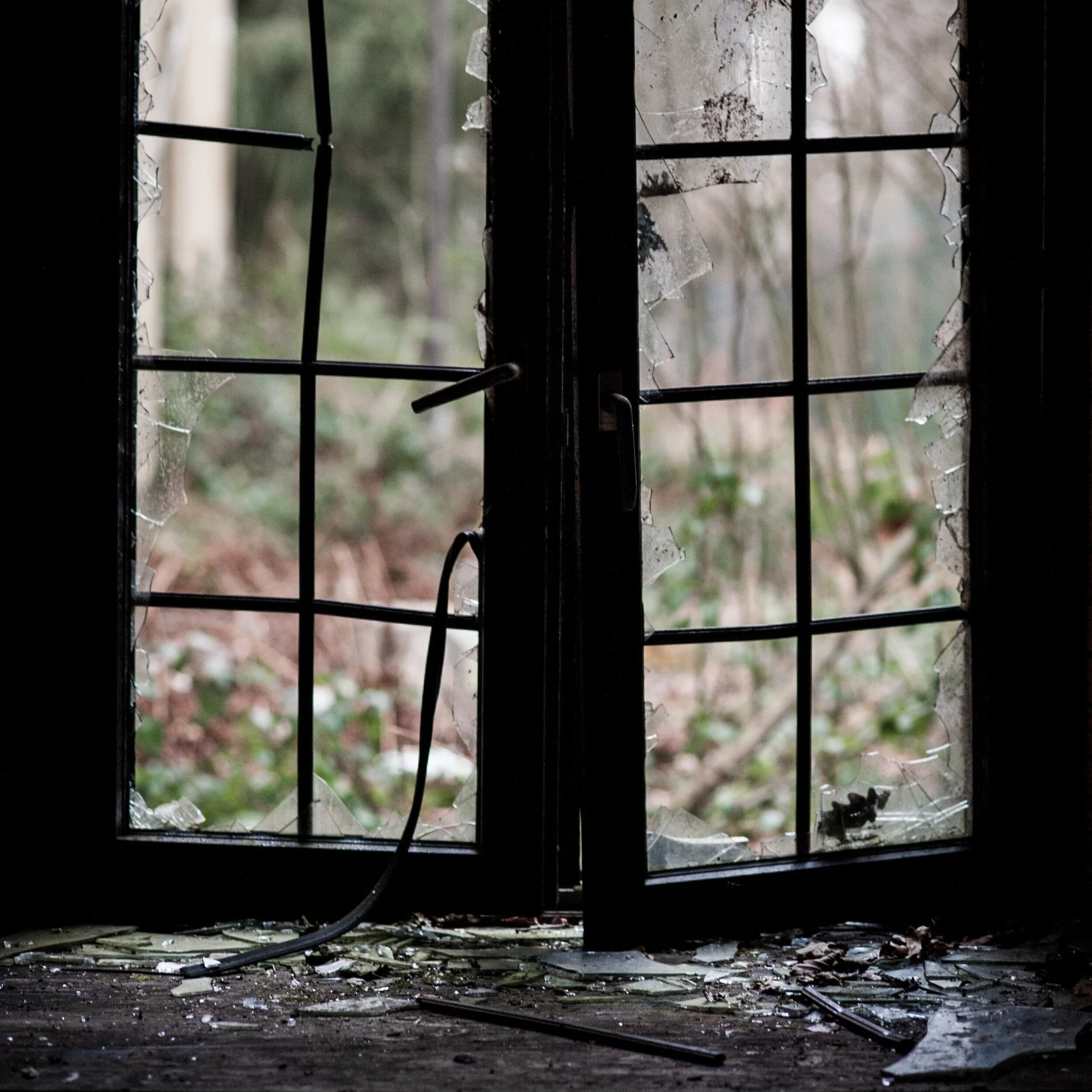 Windows in the New Year