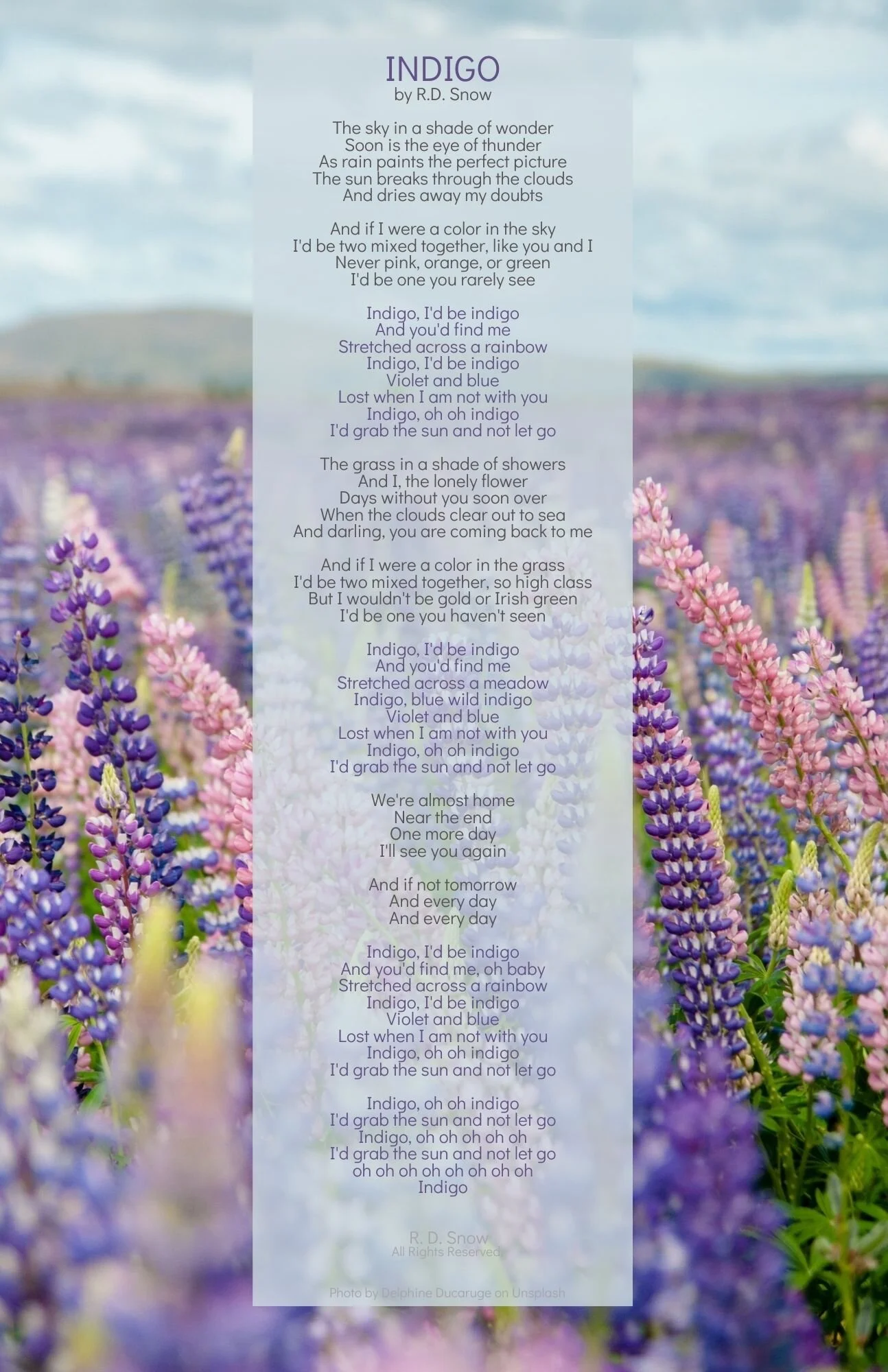RDSNOW_POETRY_Indigo_Visual.jpg